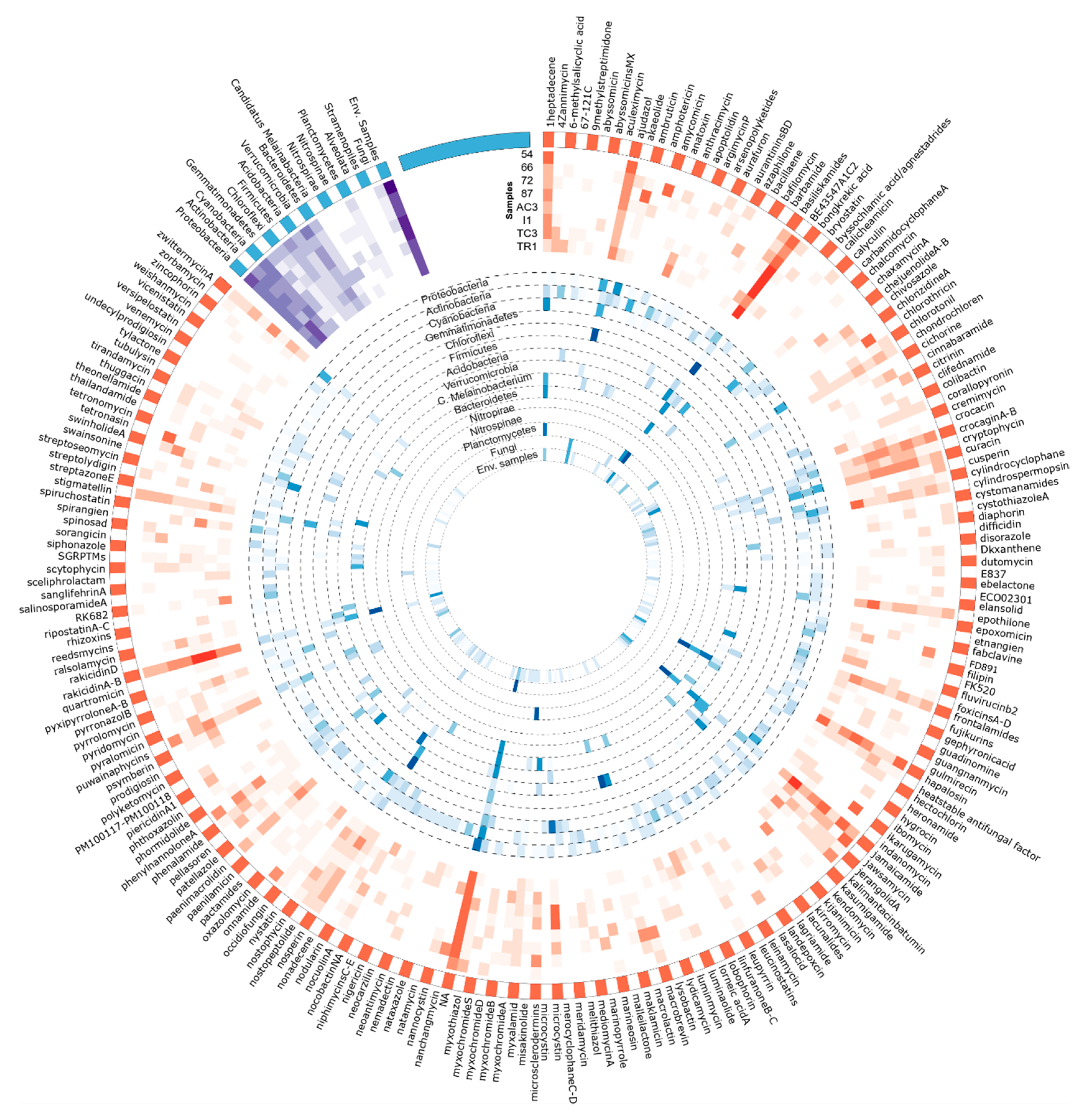 Microorganisms 08 00279 g008
