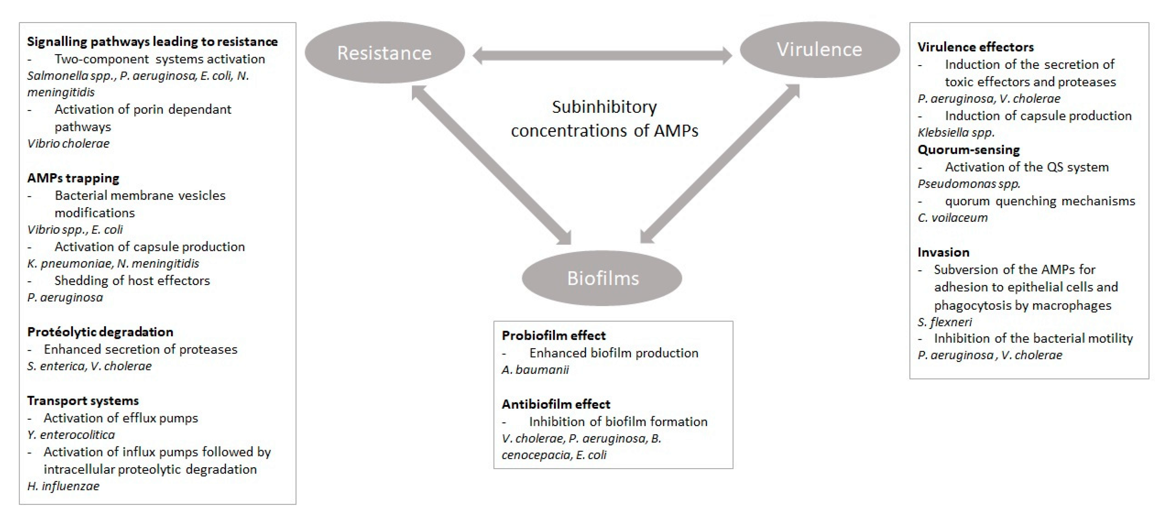 Microorganisms 08 00280 g001