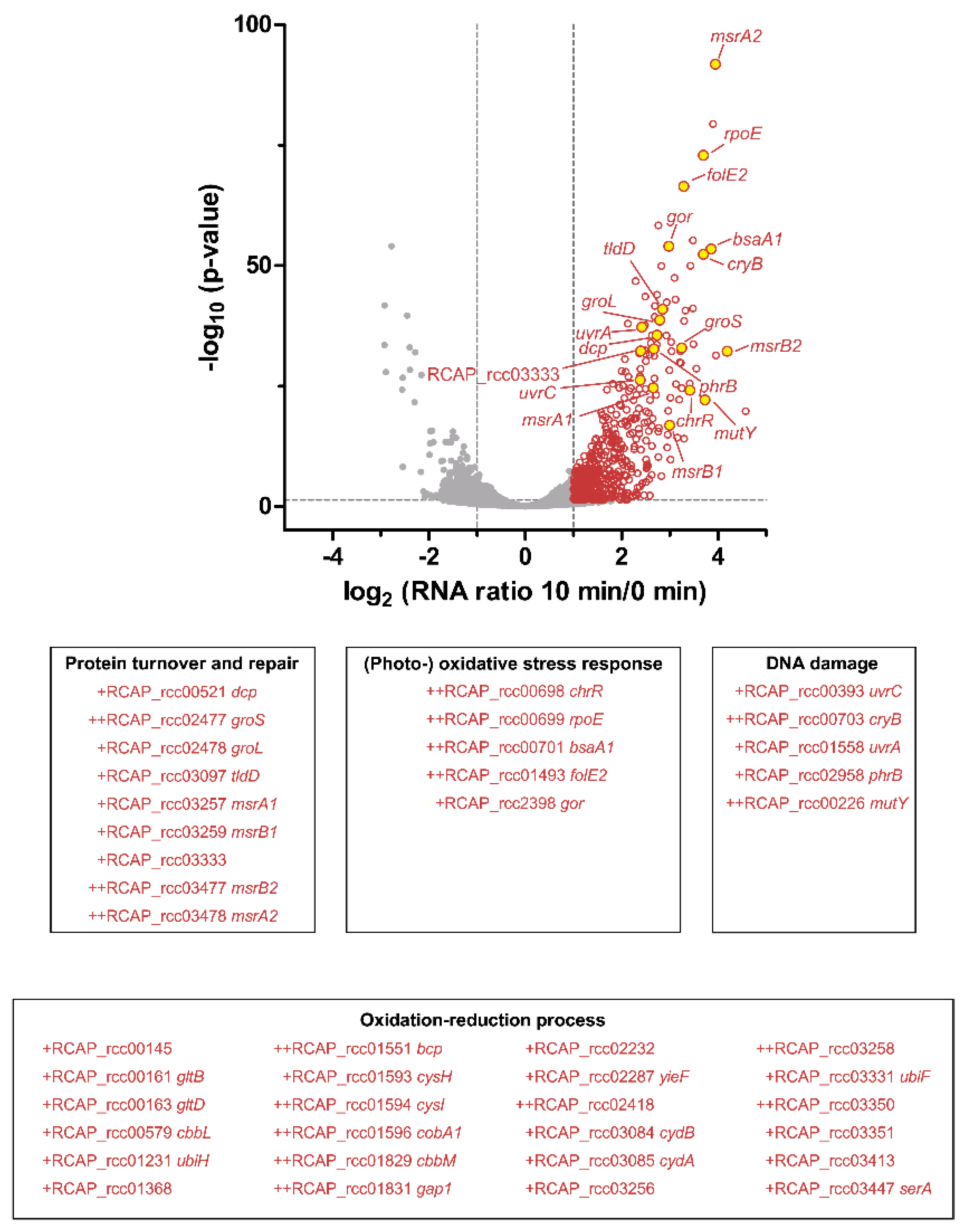 Microorganisms 08 00283 g007 Microorganisms 08 00283 g007