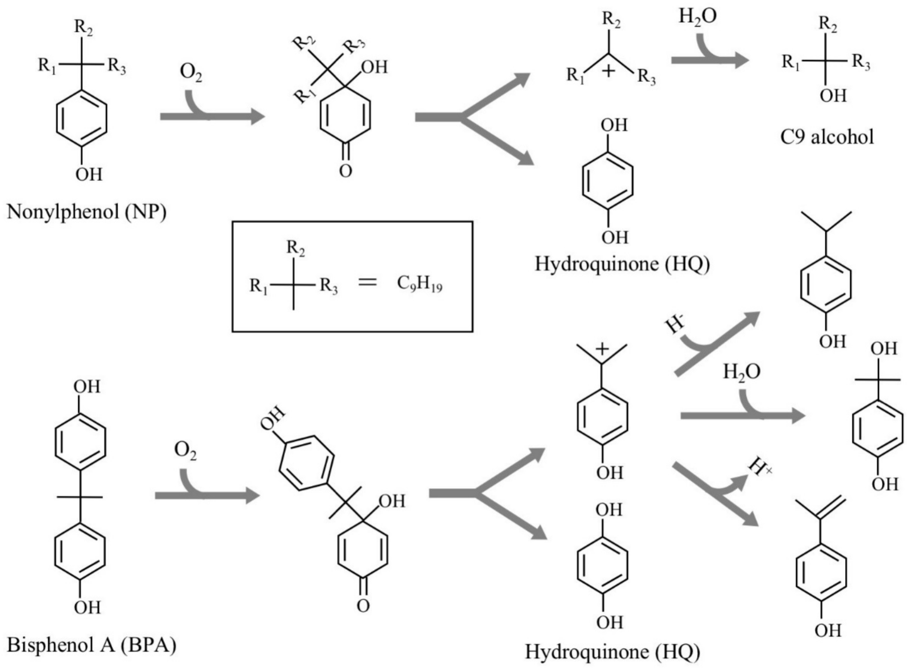 Microorganisms 08 00284 g001 Microorganisms 08 00284 g001