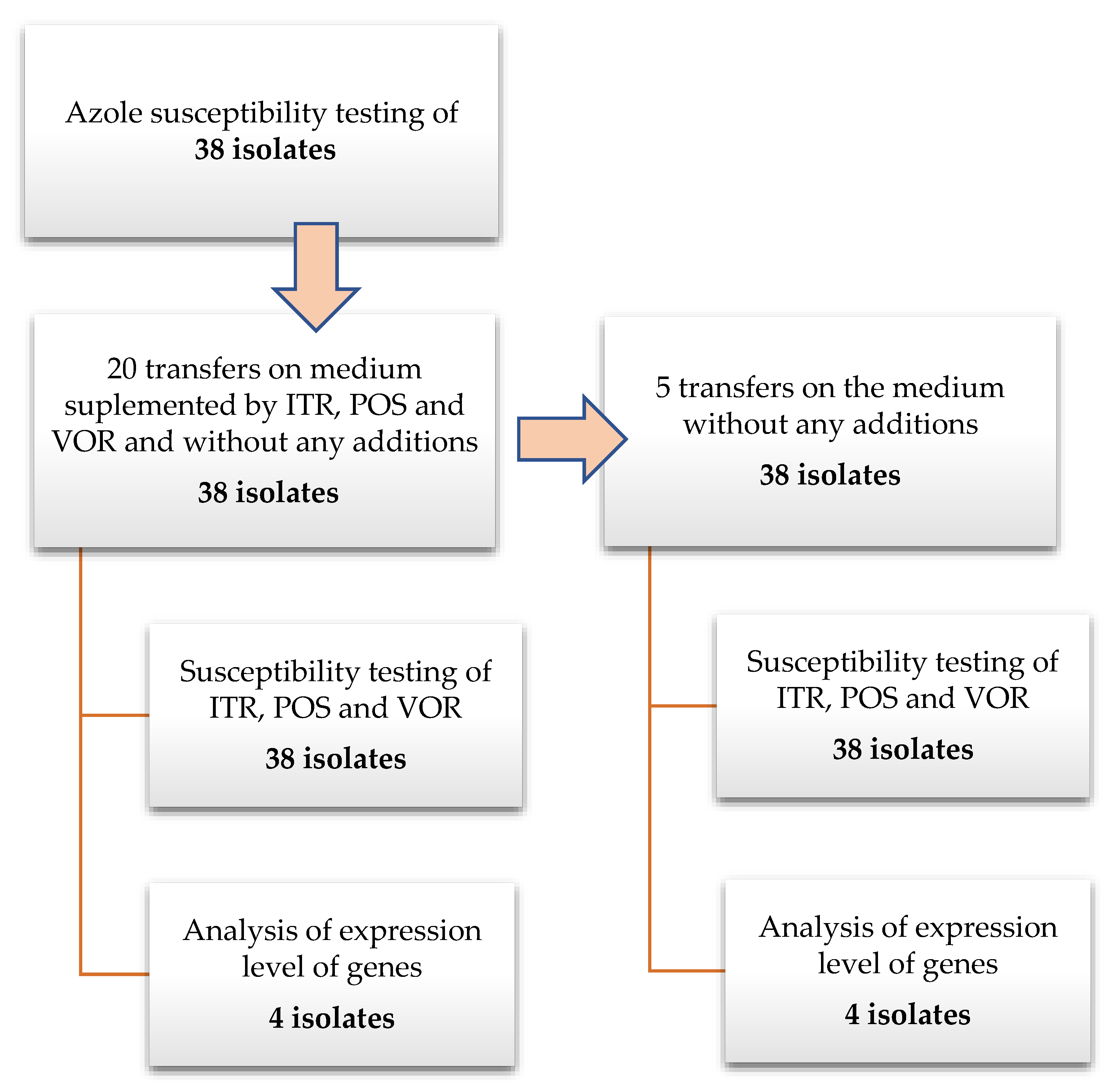 Microorganisms 08 00285 g001