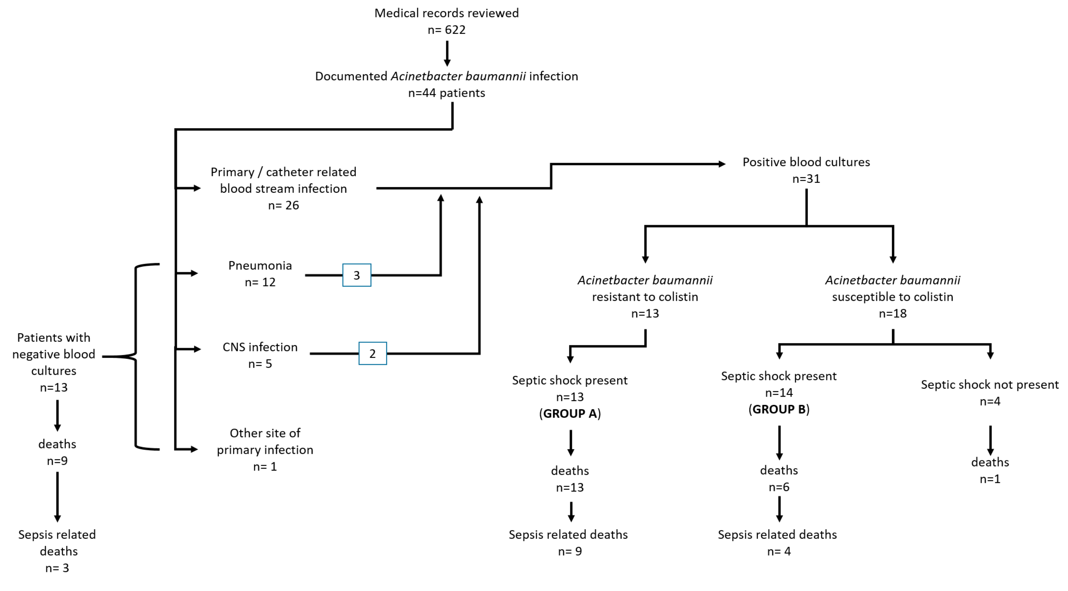 Microorganisms 08 00287 g001