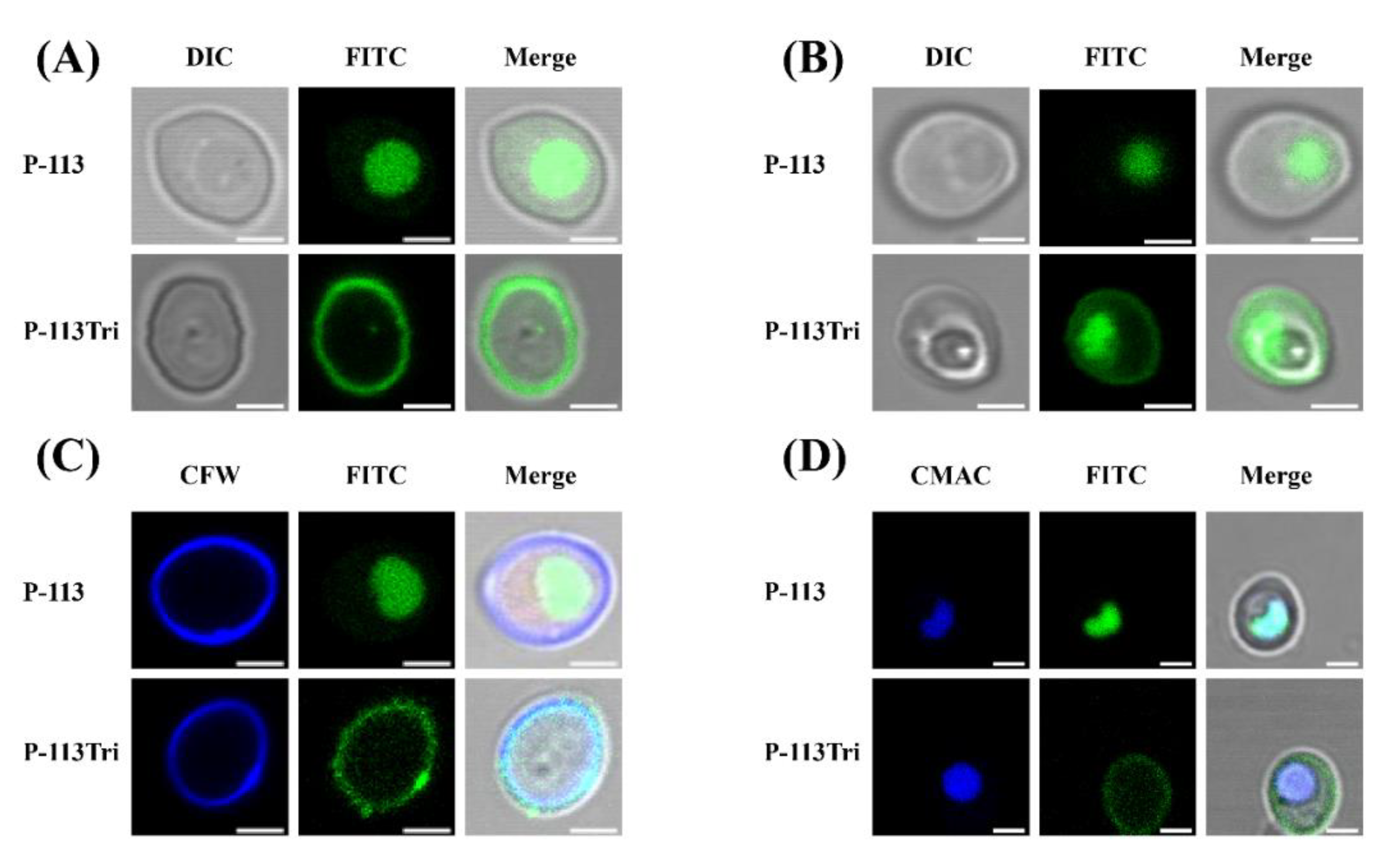 Microorganisms 08 00299 g001