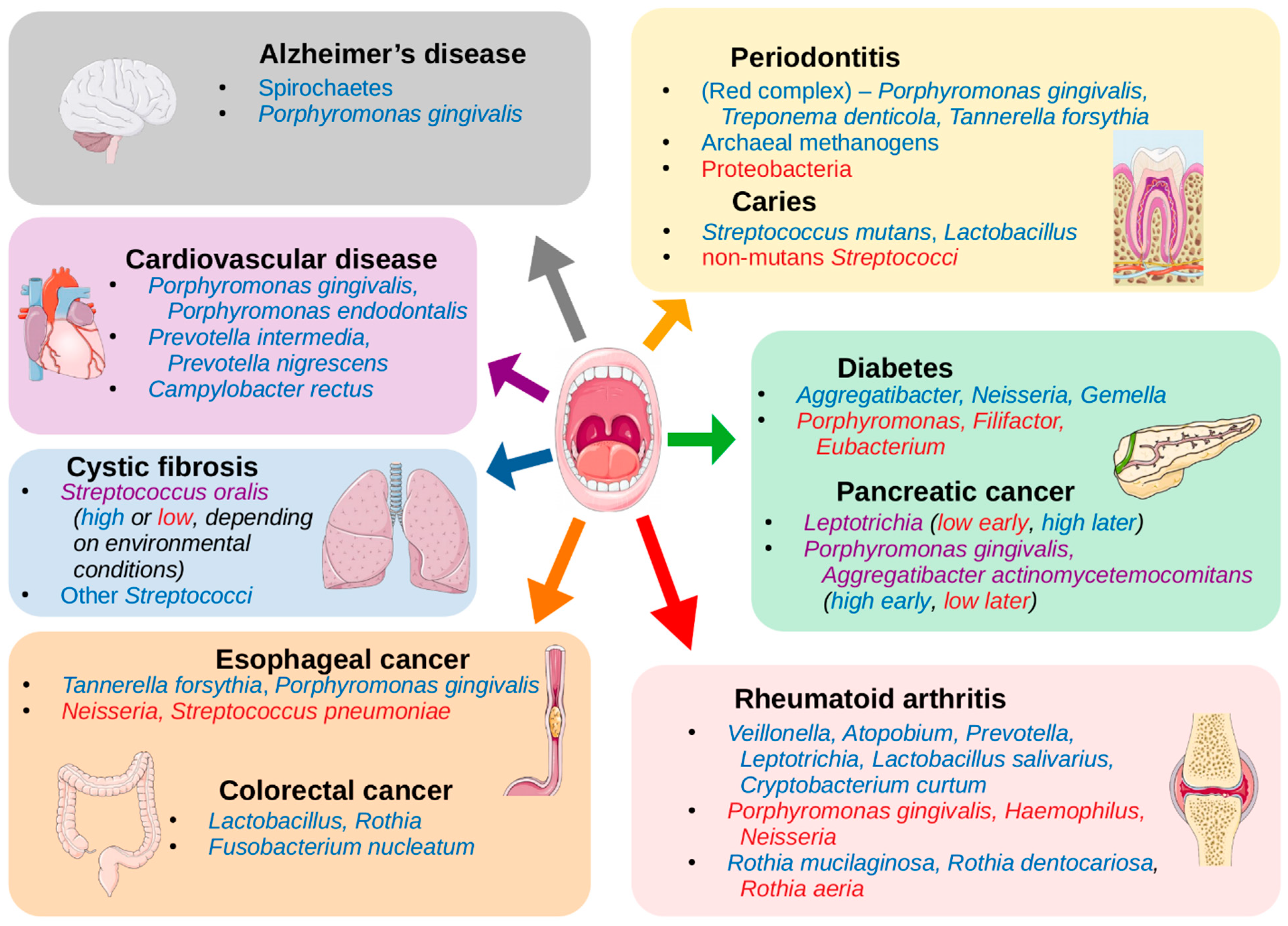 Microorganisms Free Full Text The Human Oral Microbiome In Health And Disease From Sequences To Ecosystems Html