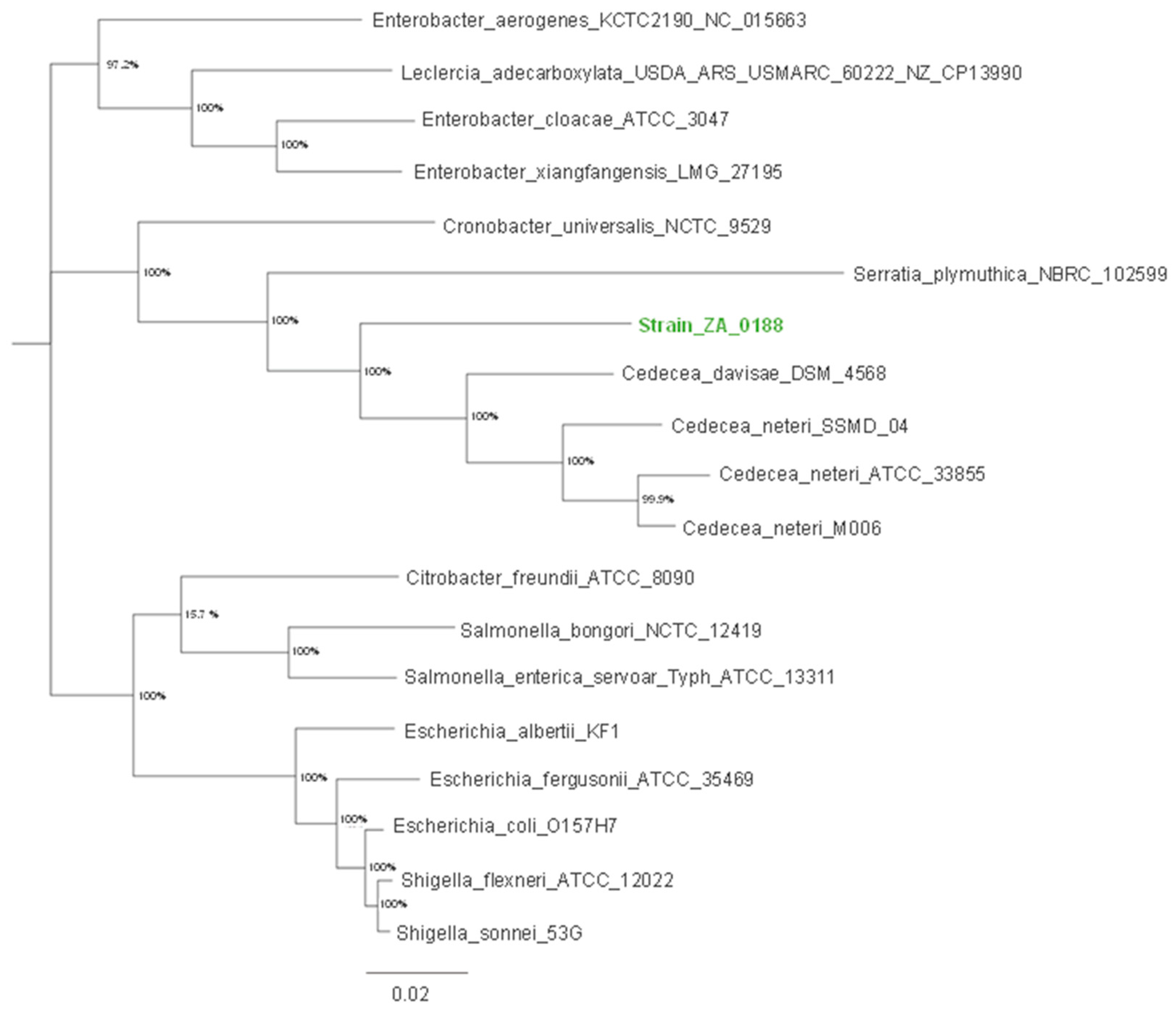 Microorganisms 08 00309 g001