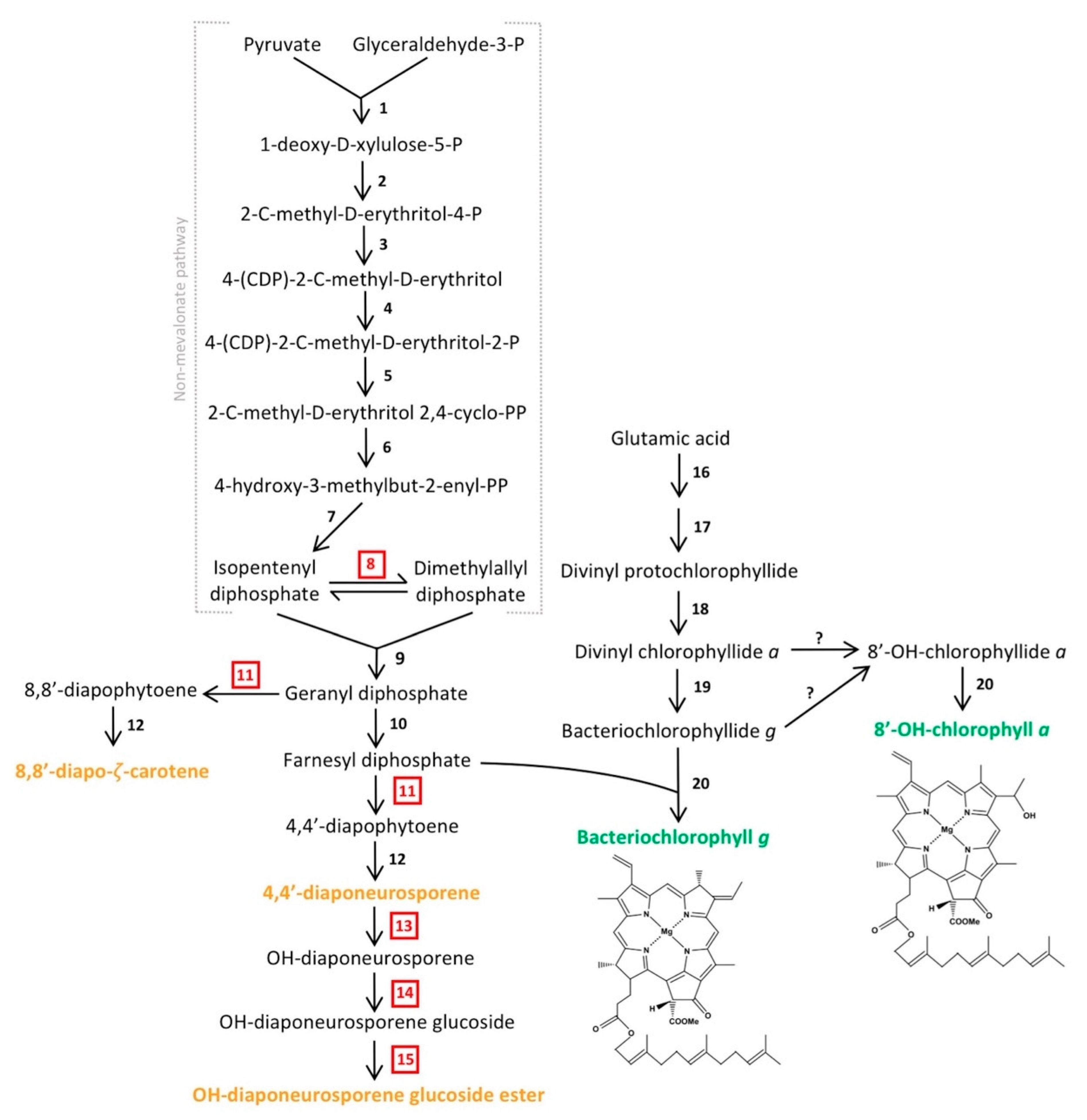 Microorganisms 08 00313 g005 Microorganisms 08 00313 g005
