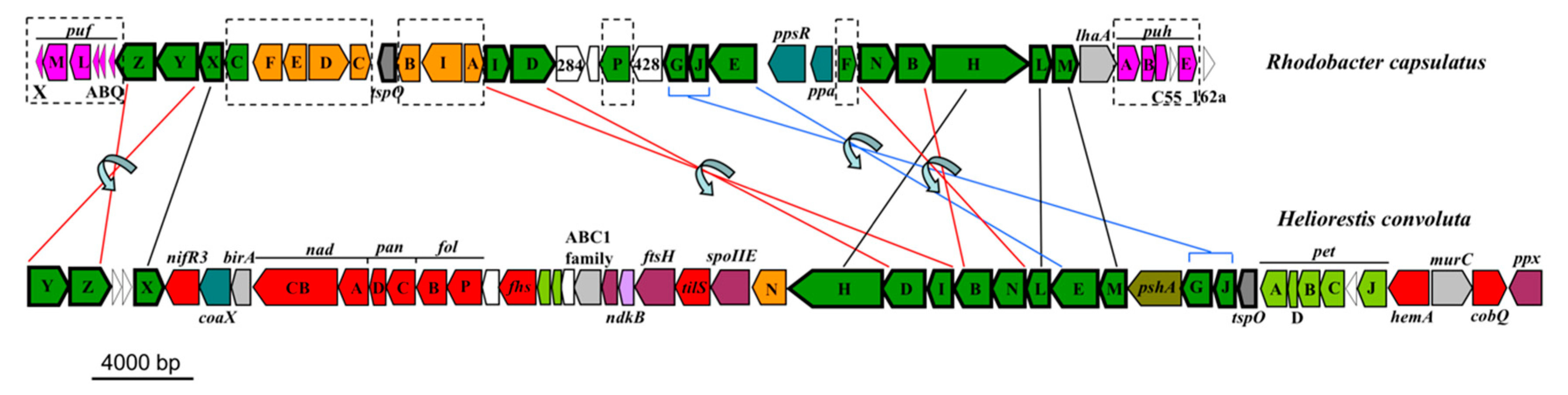 Microorganisms 08 00313 g006 Microorganisms 08 00313 g006