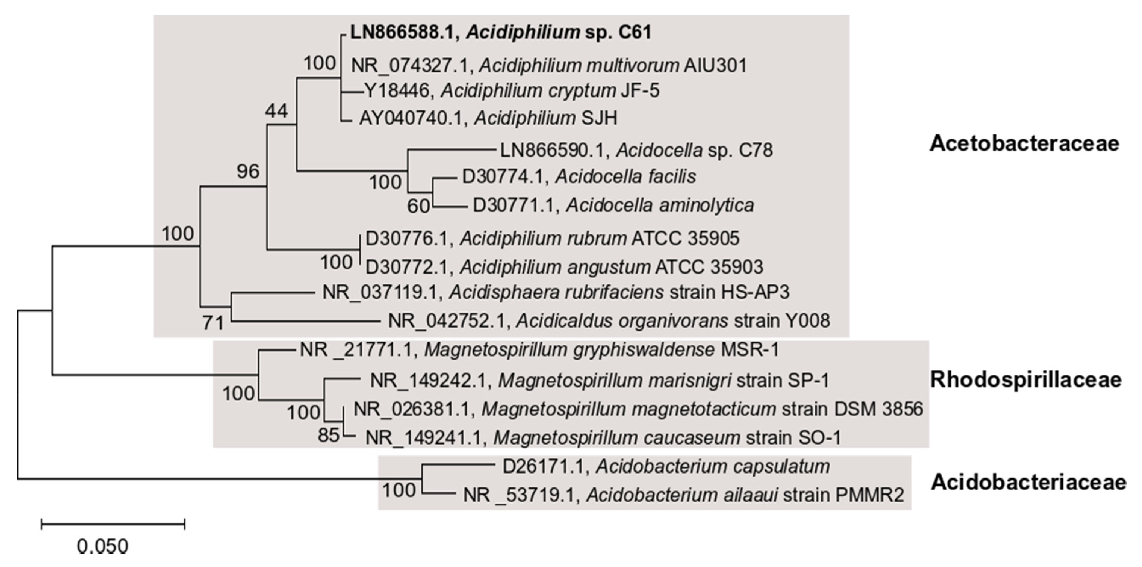 Microorganisms 08 00314 g001