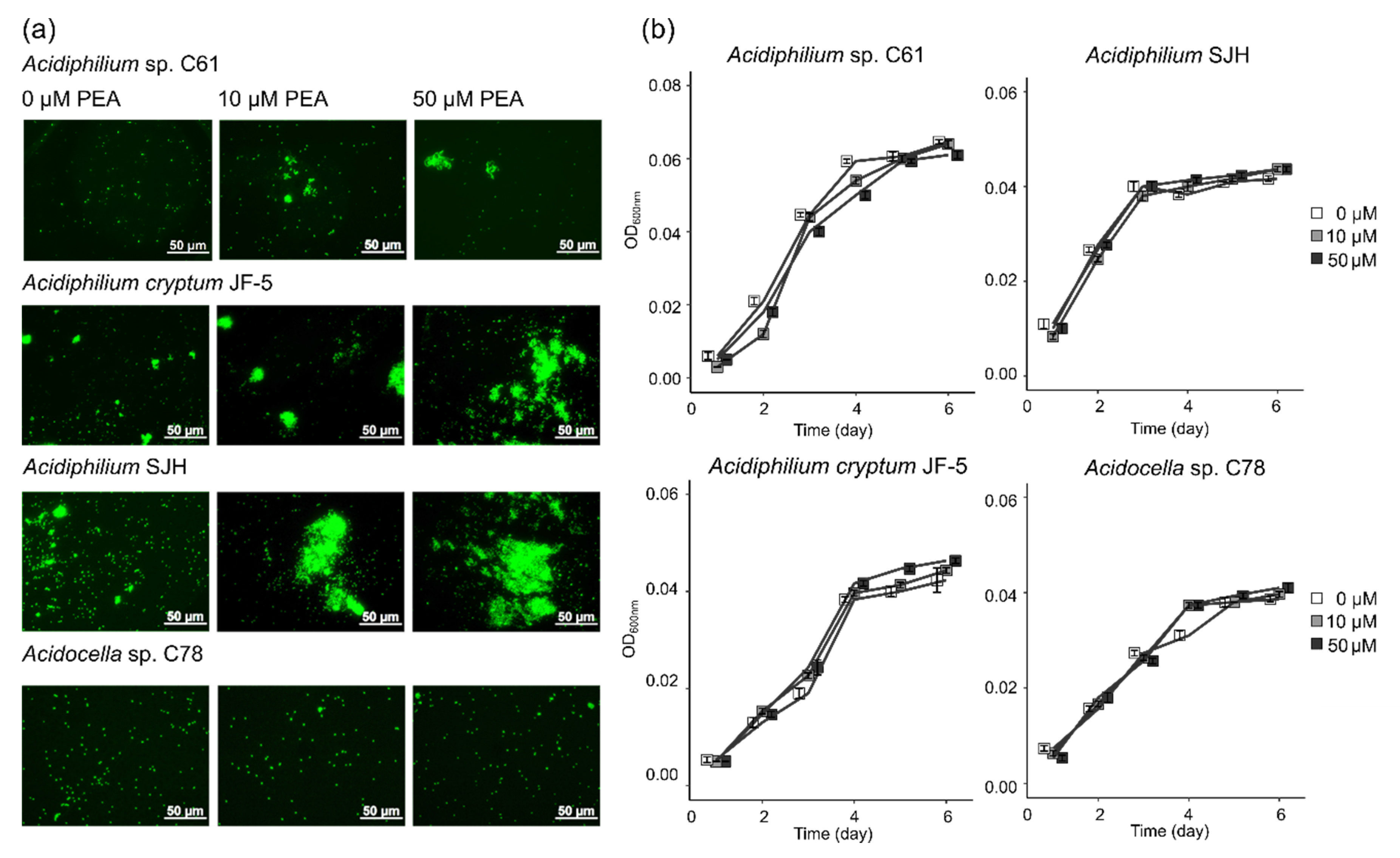 Microorganisms 08 00314 g002