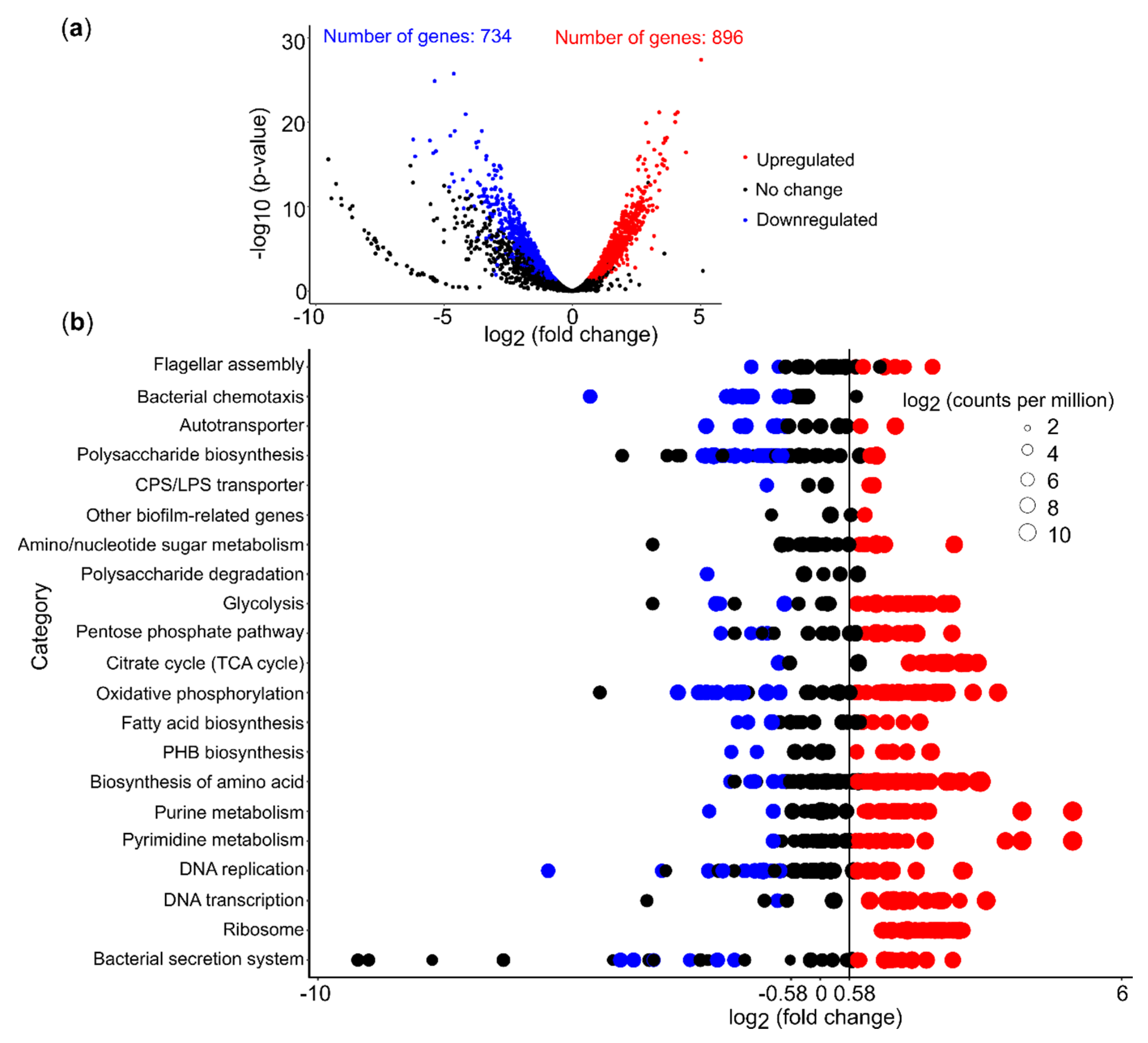 Microorganisms 08 00314 g005