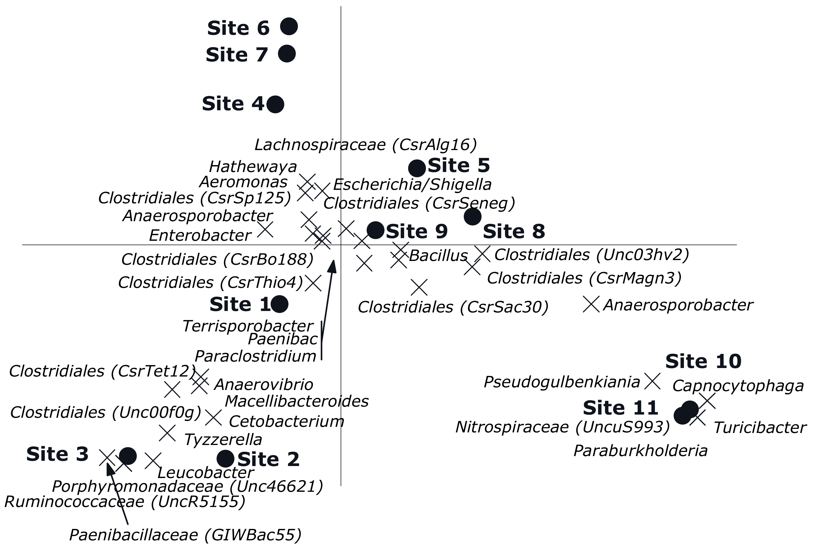Microorganisms 08 00318 g004 Microorganisms 08 00318 g004