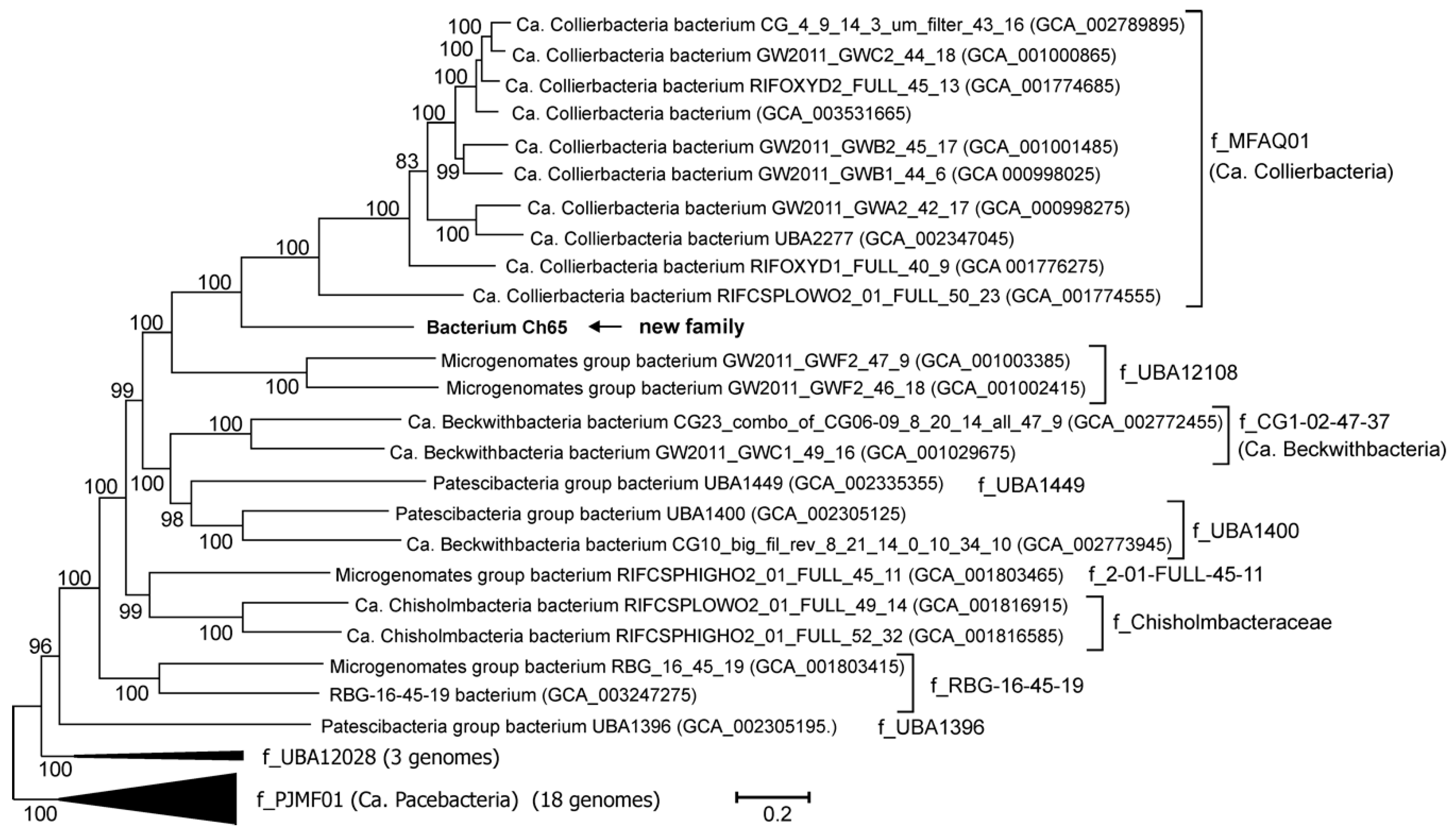 Microorganisms 08 00320 g001