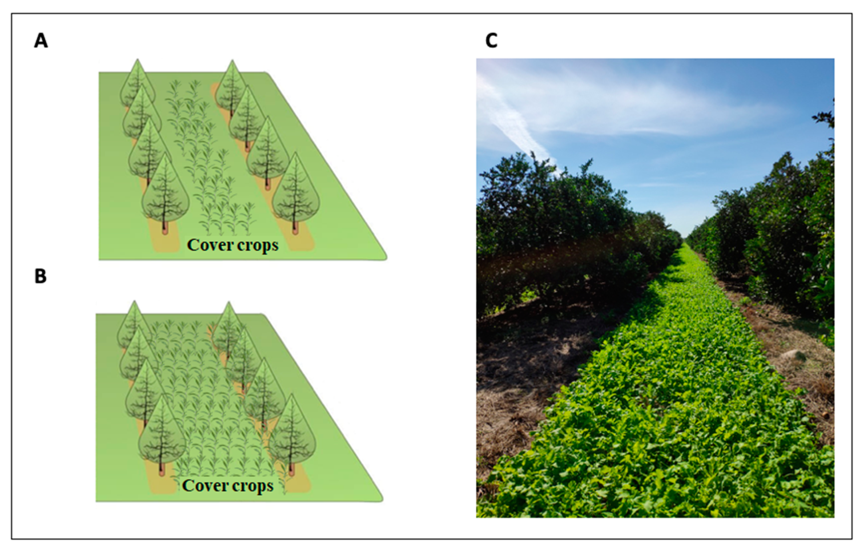 Microorganisms 08 00328 g002