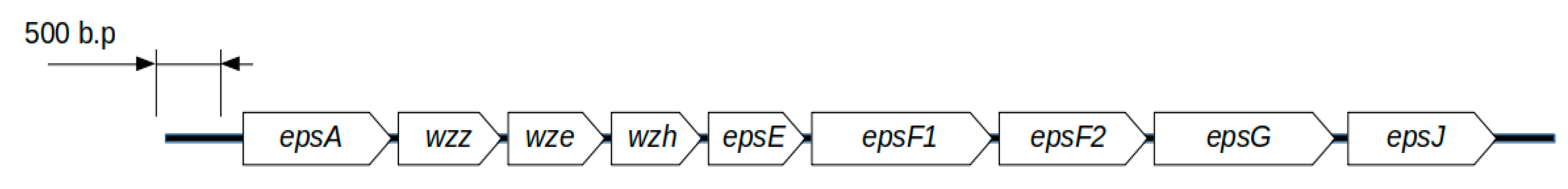 Microorganisms 08 00329 g002