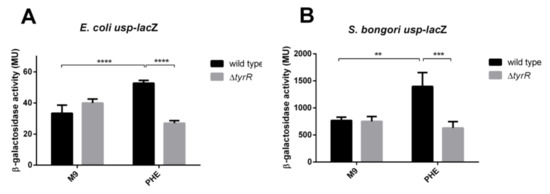 Microorganisms Free Full Text The Uropathogenic Specific Protein Gene Usp From Escherichia Coli And Salmonella Bongori Is A Novel Member Of The Tyrr And H Ns Regulons Html