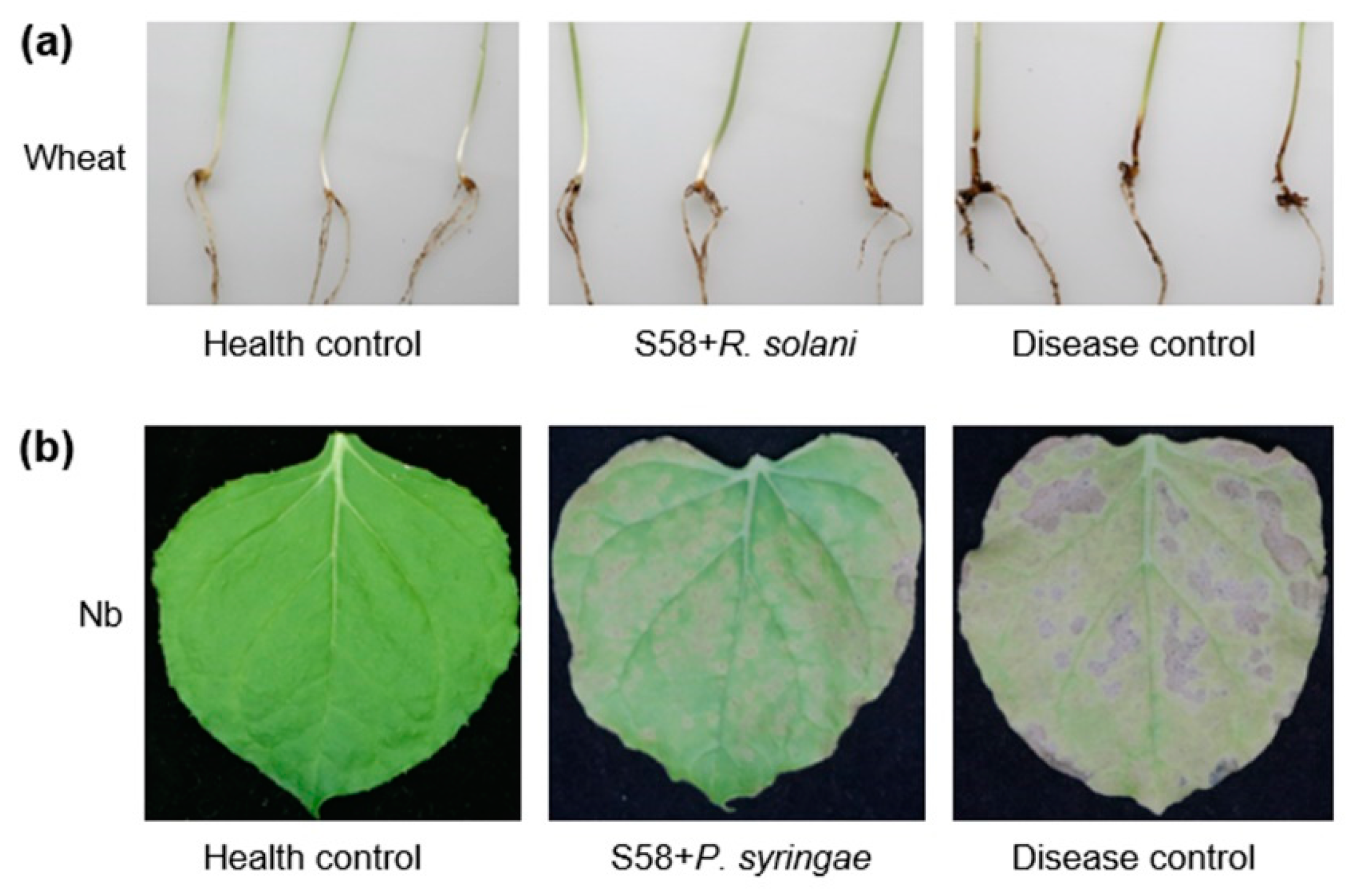 Microorganisms 08 00334 g002 Microorganisms 08 00334 g002