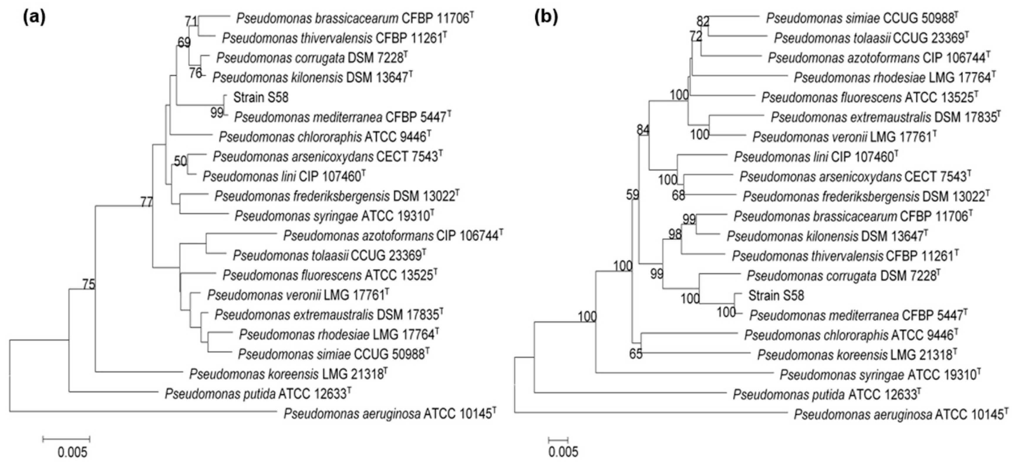 Microorganisms 08 00334 g005 Microorganisms 08 00334 g005
