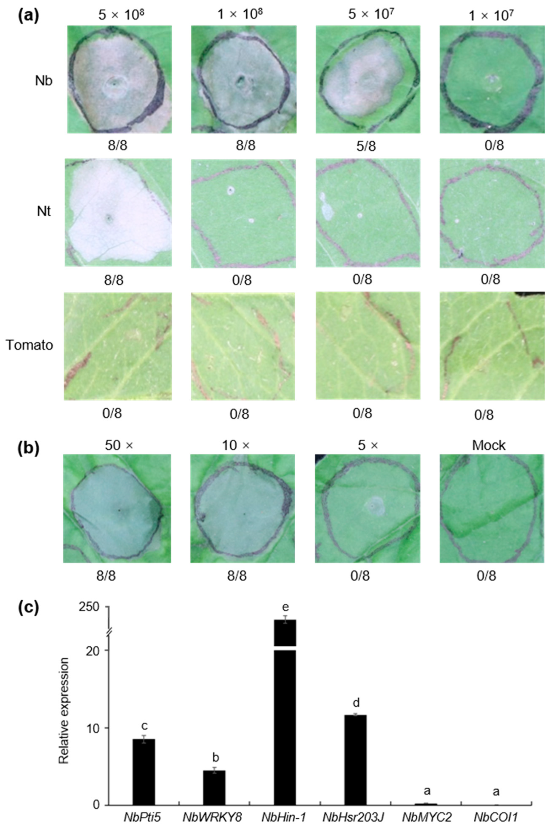 Microorganisms 08 00334 g008 Microorganisms 08 00334 g008