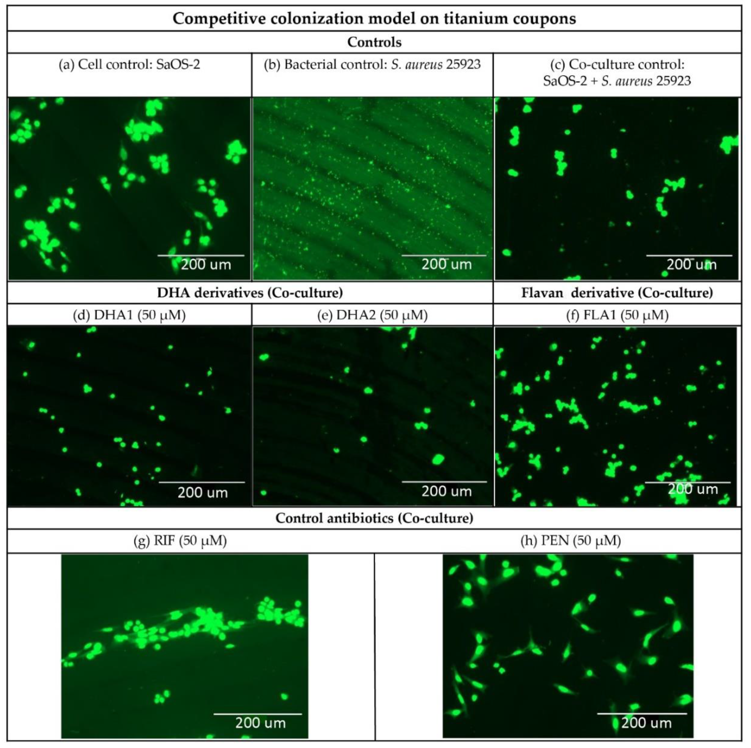 Microorganisms 08 00345 g005 Microorganisms 08 00345 g005