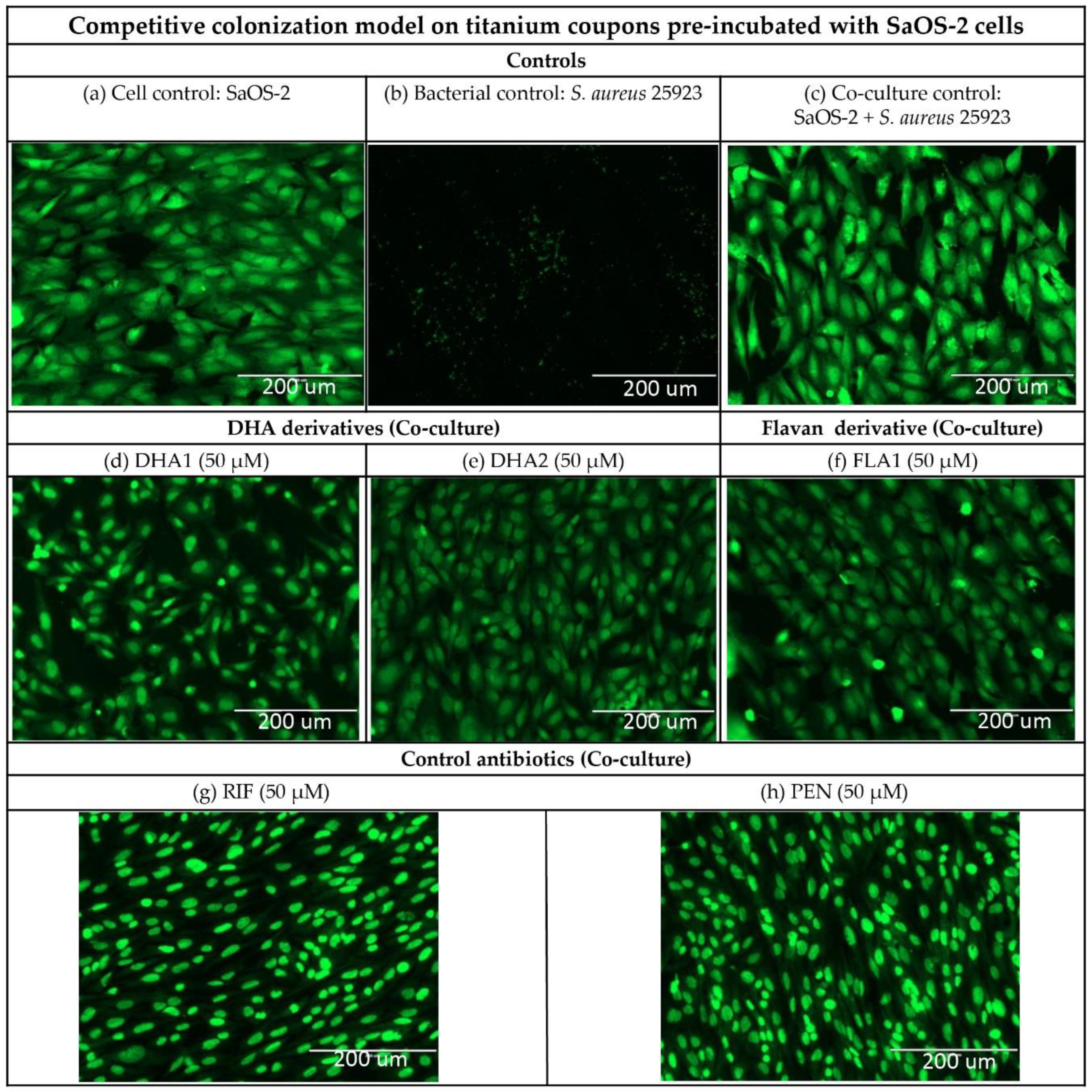 Microorganisms 08 00345 g007 Microorganisms 08 00345 g007
