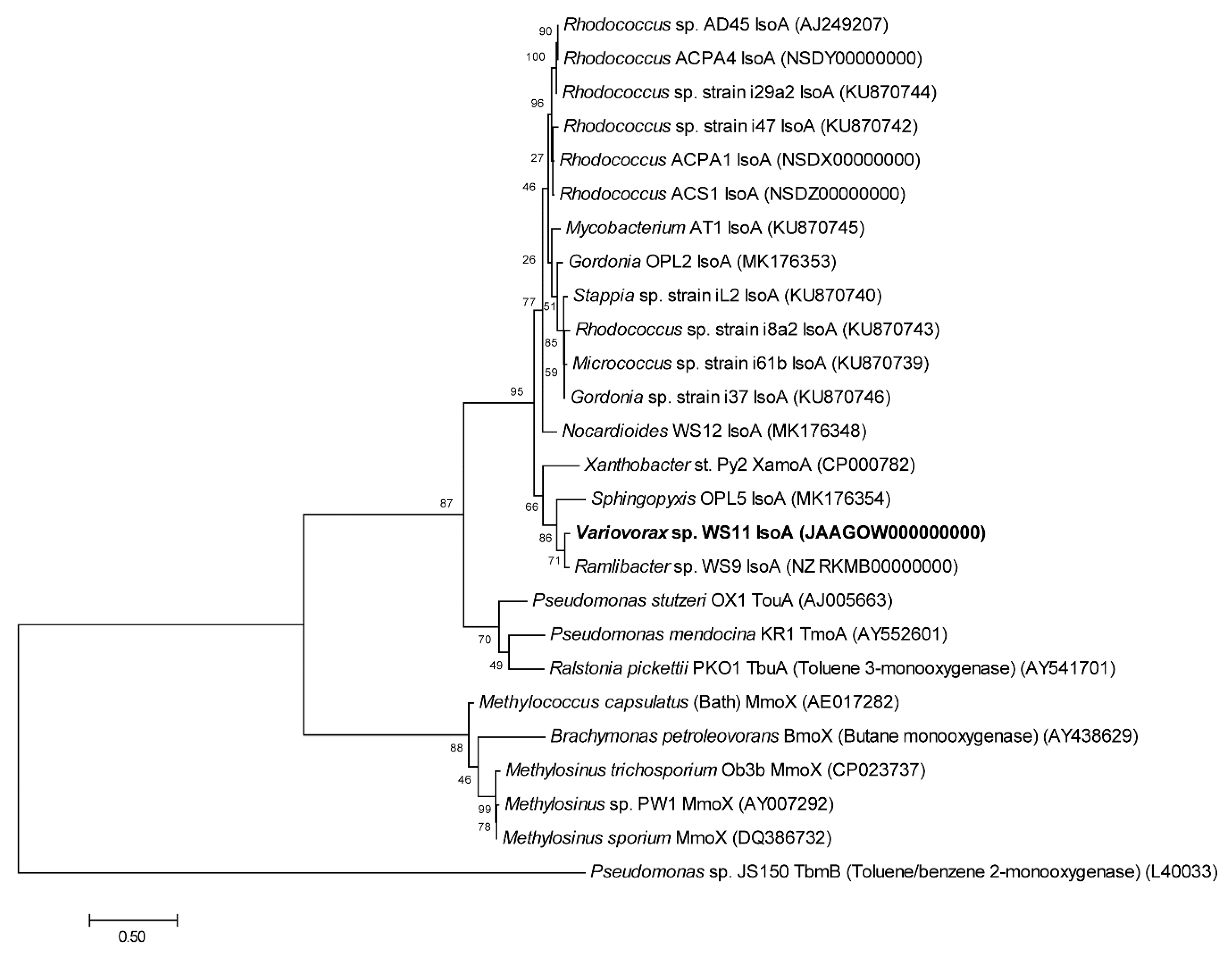 Microorganisms 08 00349 g002 Microorganisms 08 00349 g002