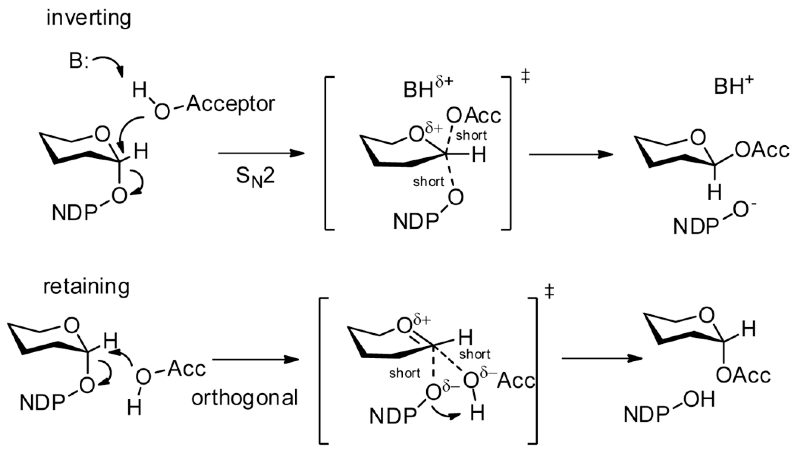 Microorganisms 08 00357 g002