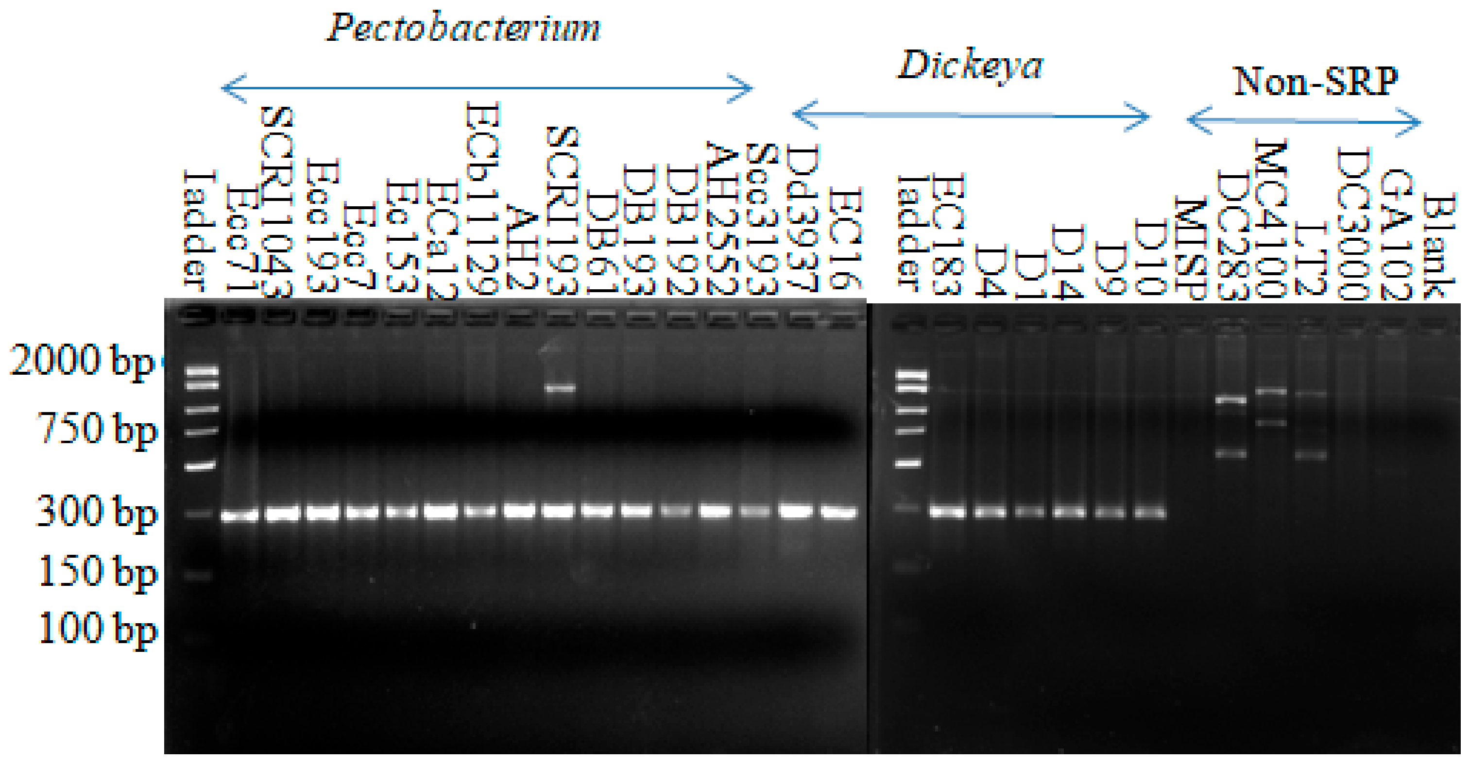 Microorganisms 08 00358 g001 Microorganisms 08 00358 g001