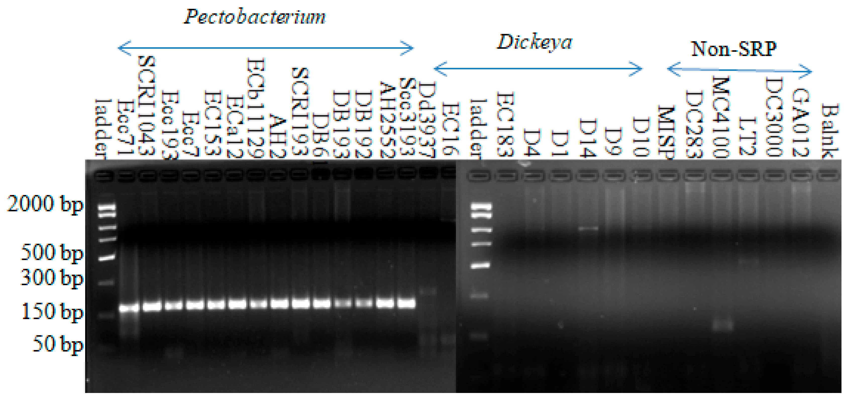 Microorganisms 08 00358 g002 Microorganisms 08 00358 g002
