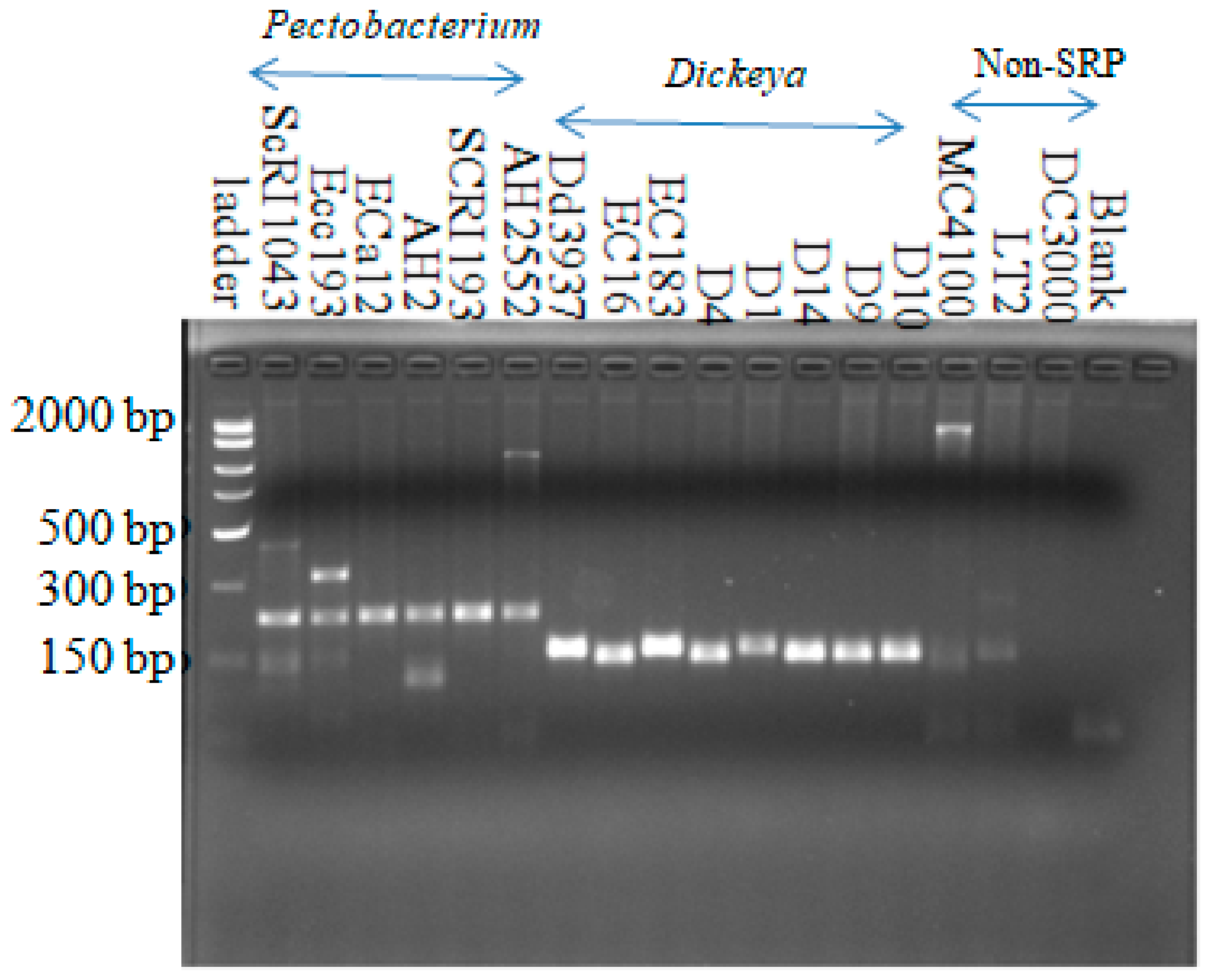 Microorganisms 08 00358 g003 Microorganisms 08 00358 g003