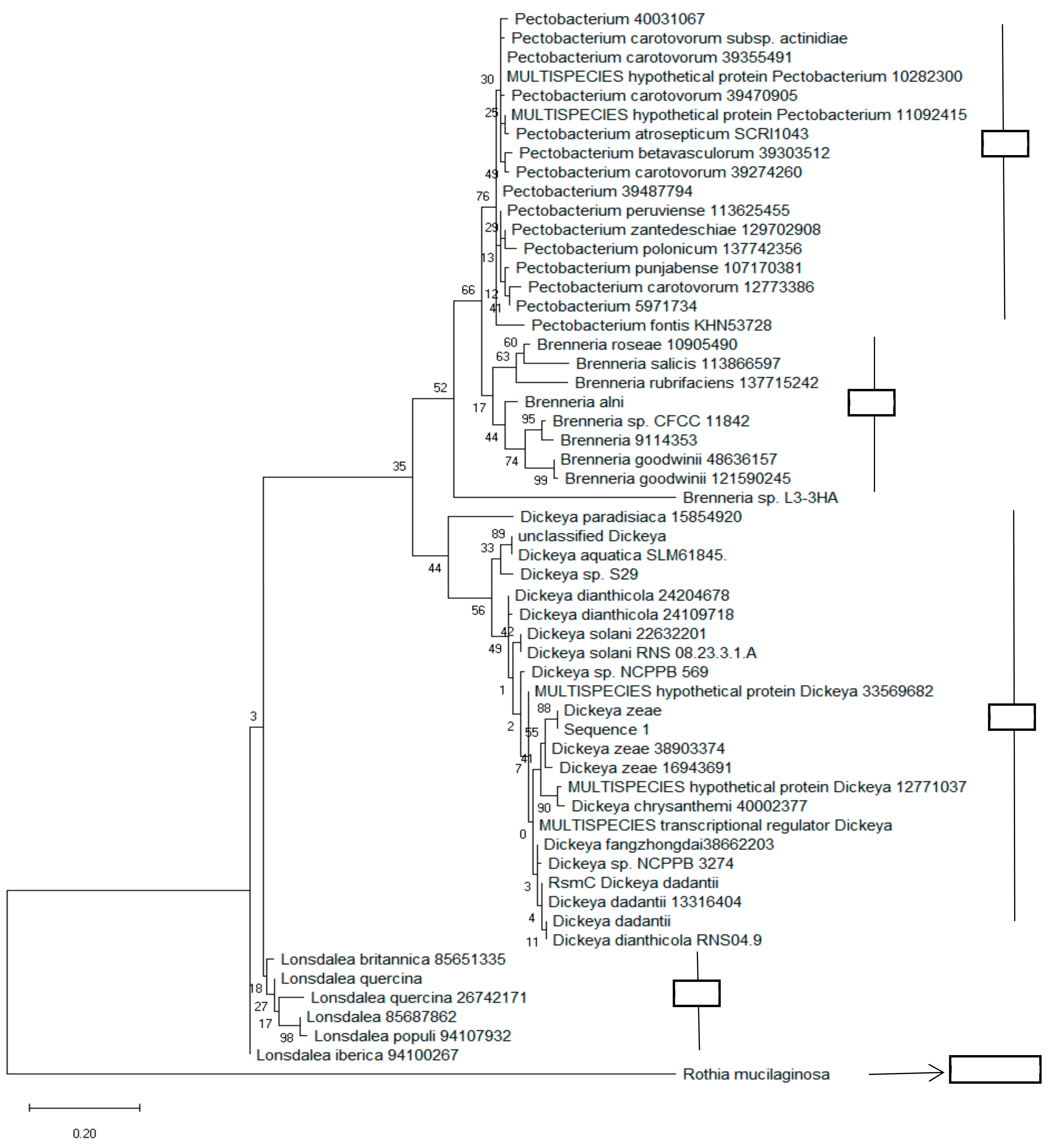 Microorganisms 08 00358 g004 Microorganisms 08 00358 g004