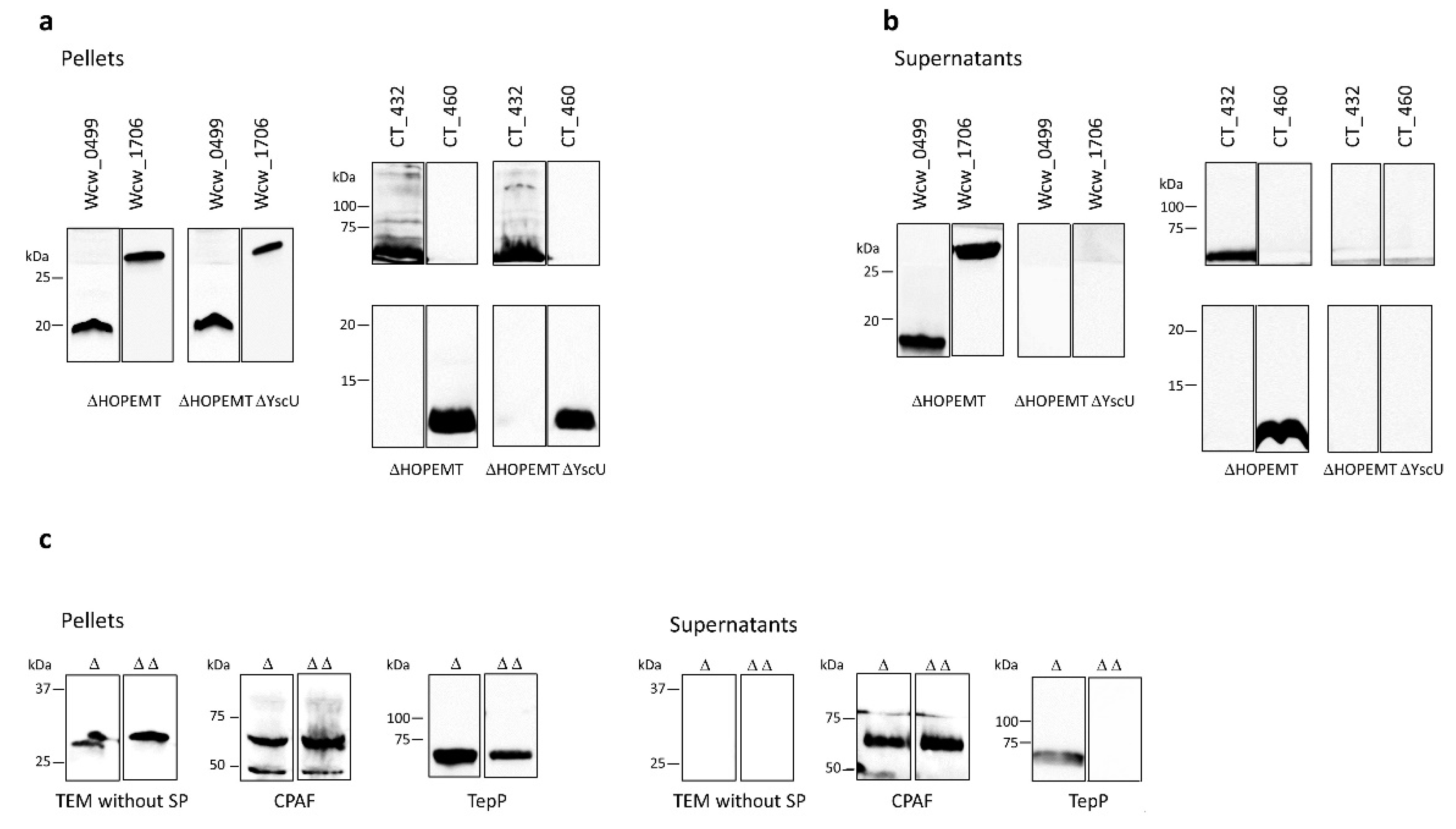Microorganisms 08 00361 g001 Microorganisms 08 00361 g001