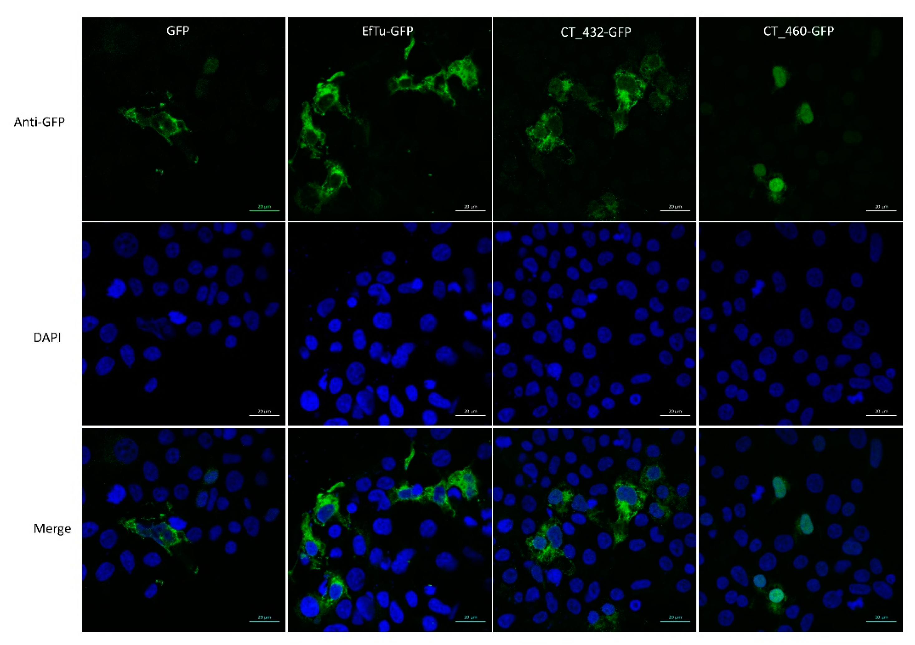 Microorganisms 08 00361 g002 Microorganisms 08 00361 g002