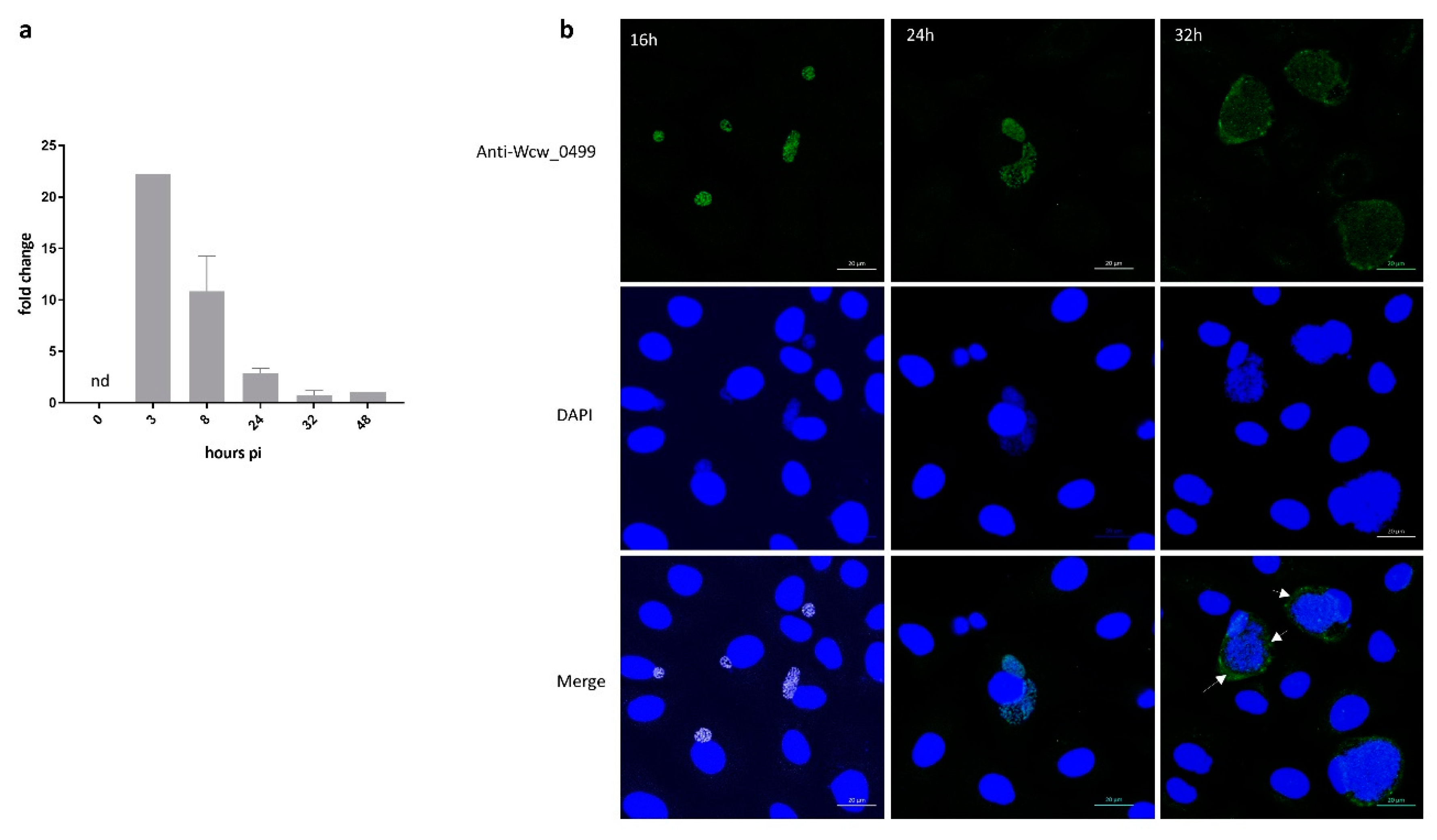 Microorganisms 08 00361 g003 Microorganisms 08 00361 g003