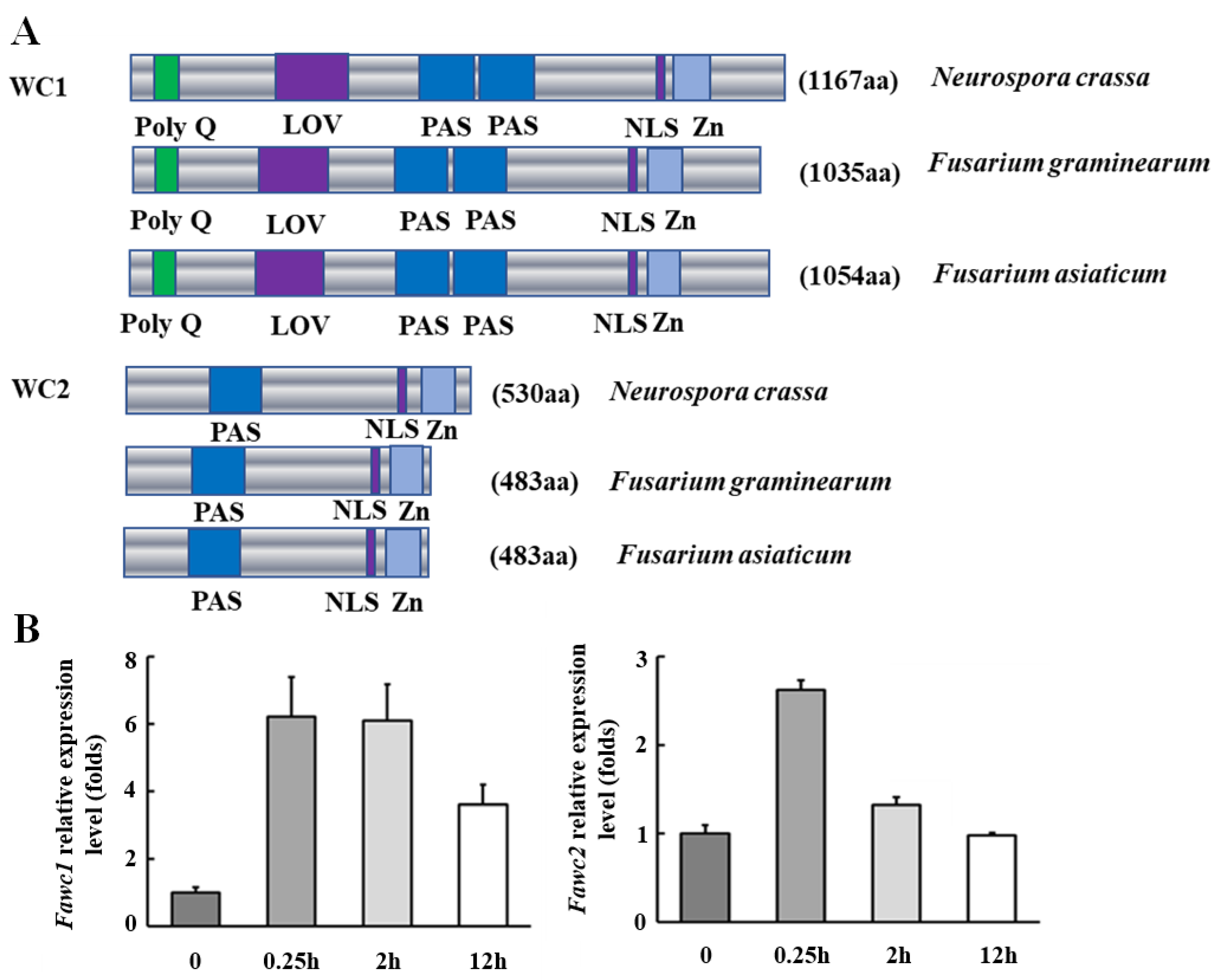 Microorganisms 08 00365 g001 Microorganisms 08 00365 g001