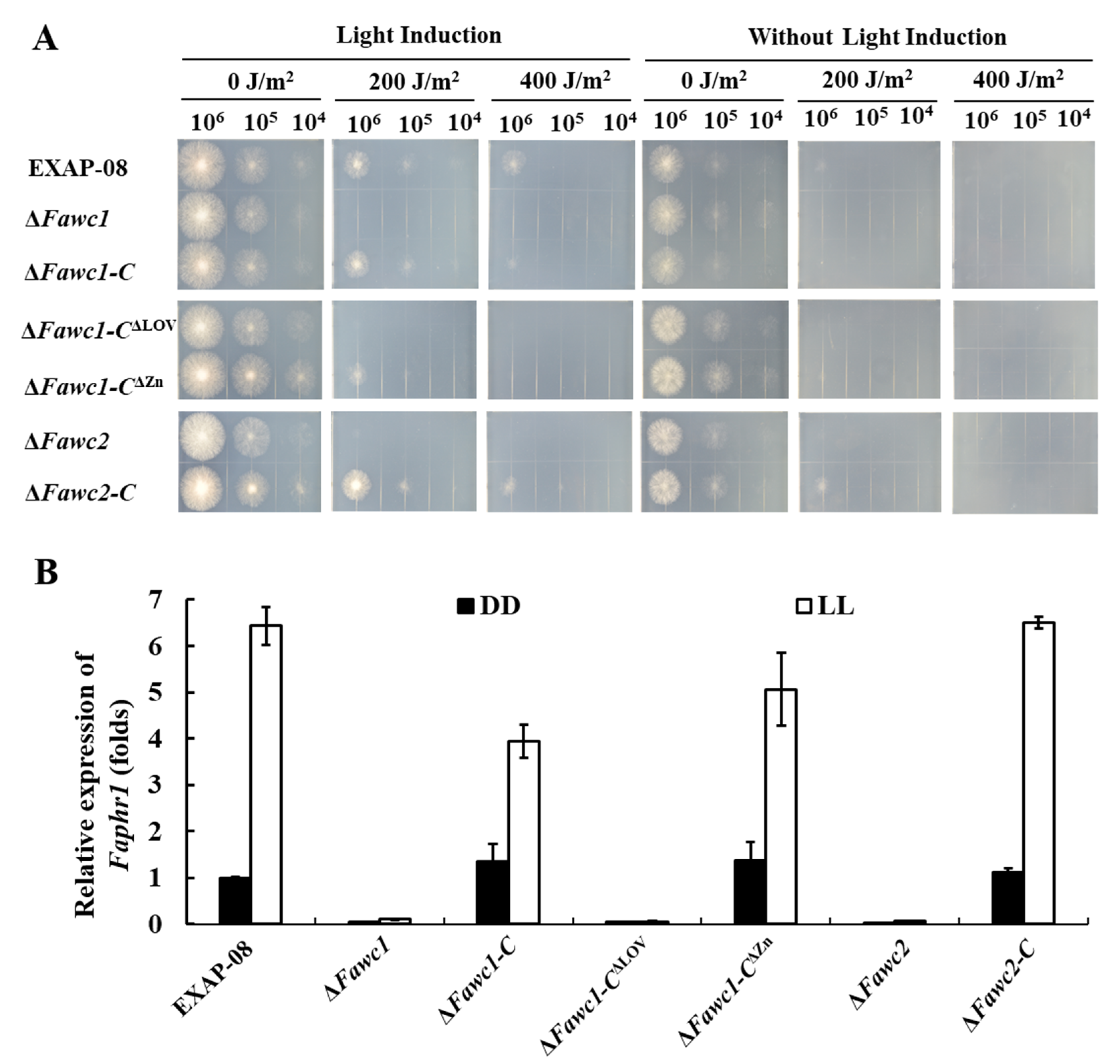 Microorganisms 08 00365 g003 Microorganisms 08 00365 g003