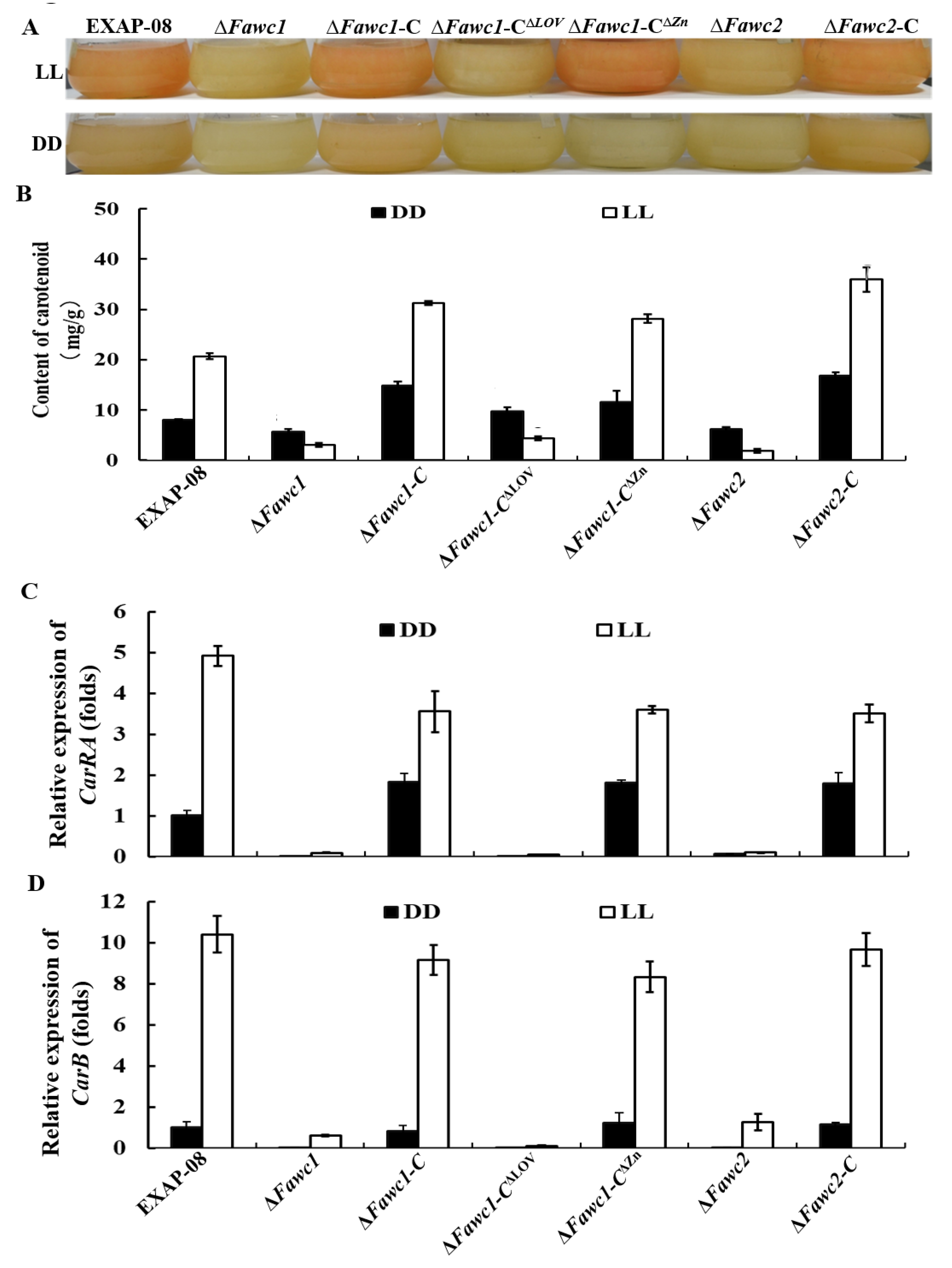 Microorganisms 08 00365 g004 Microorganisms 08 00365 g004