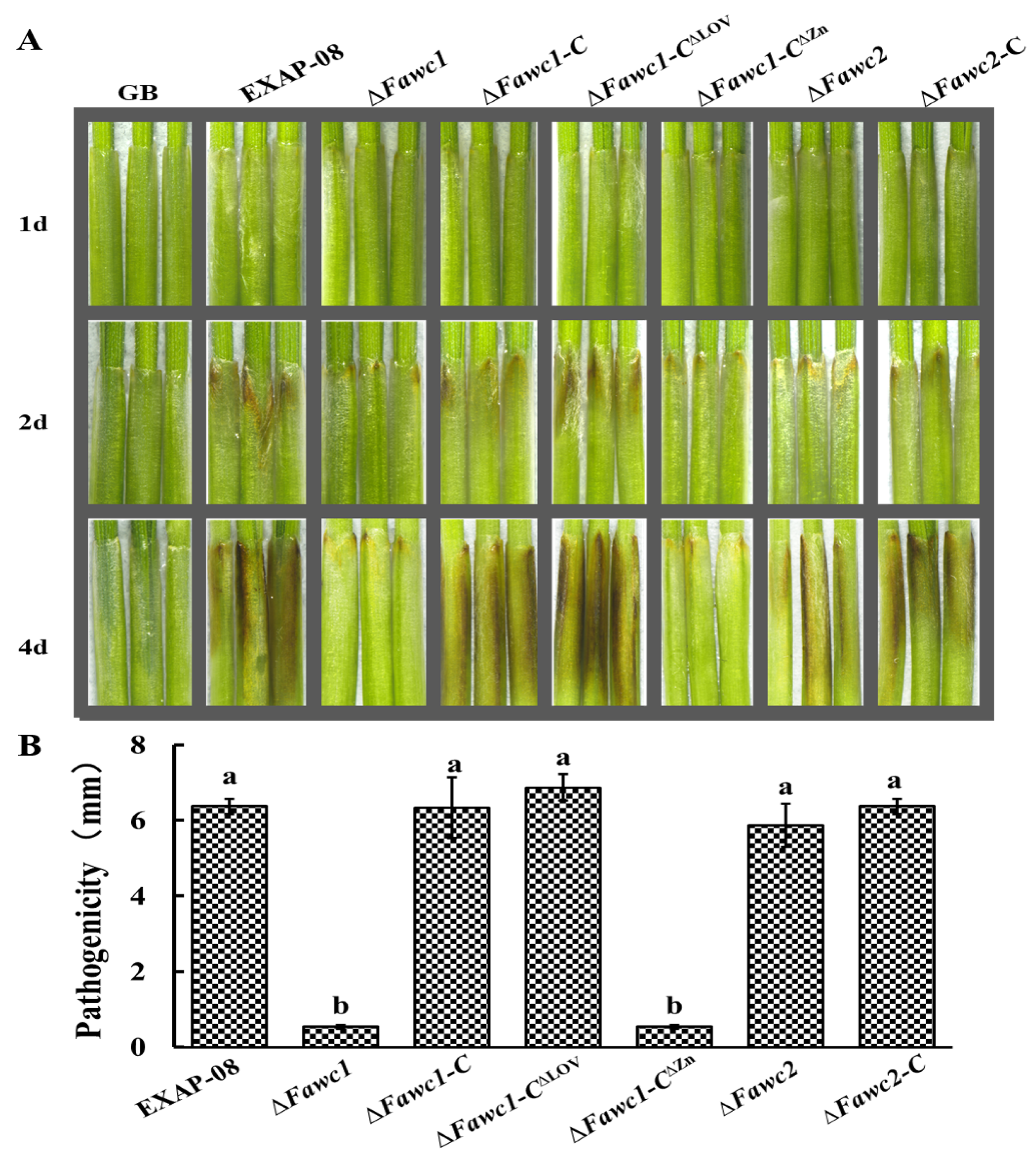 Microorganisms 08 00365 g006 Microorganisms 08 00365 g006