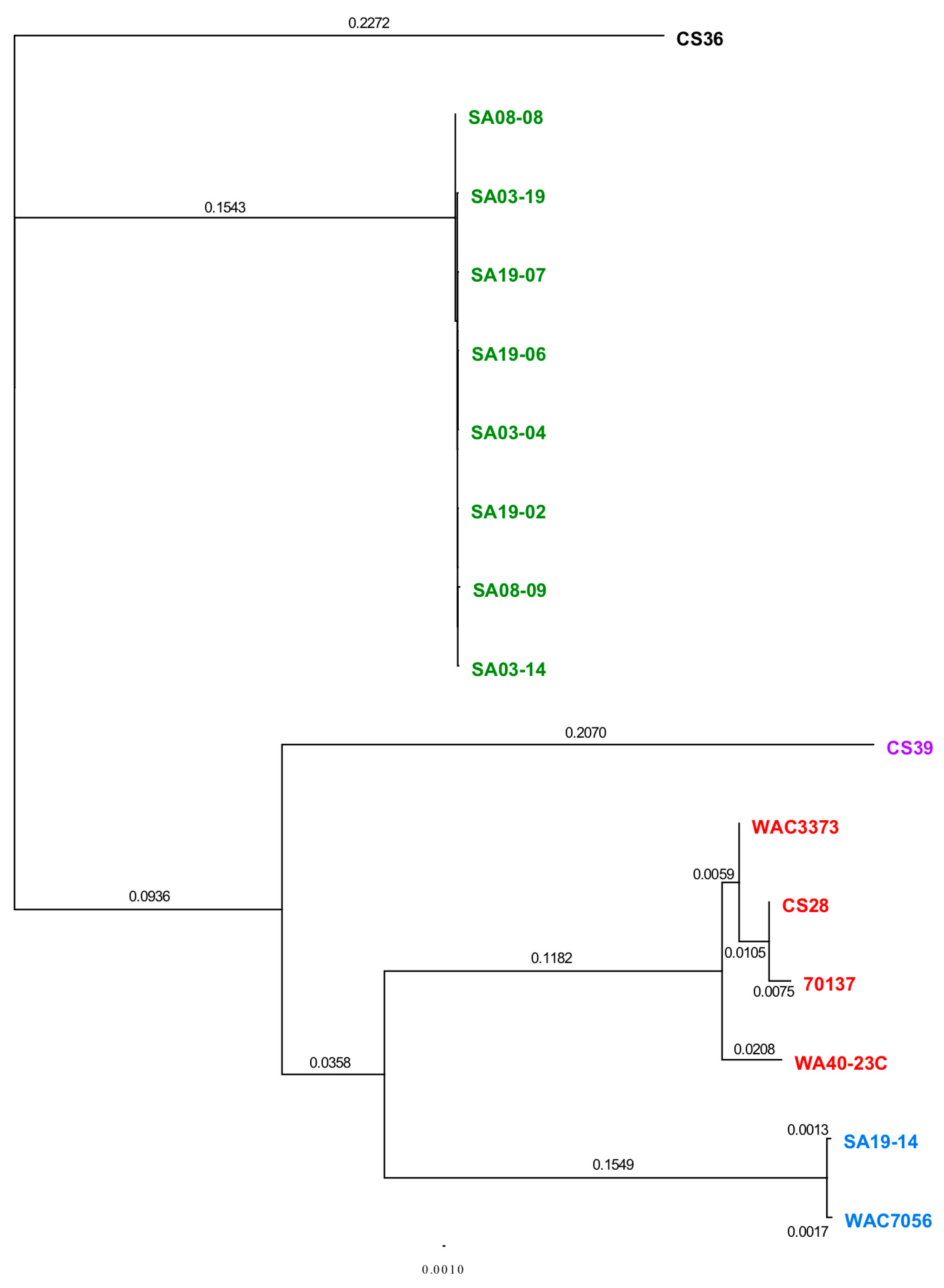 Microorganisms 08 00366 g003 Microorganisms 08 00366 g003