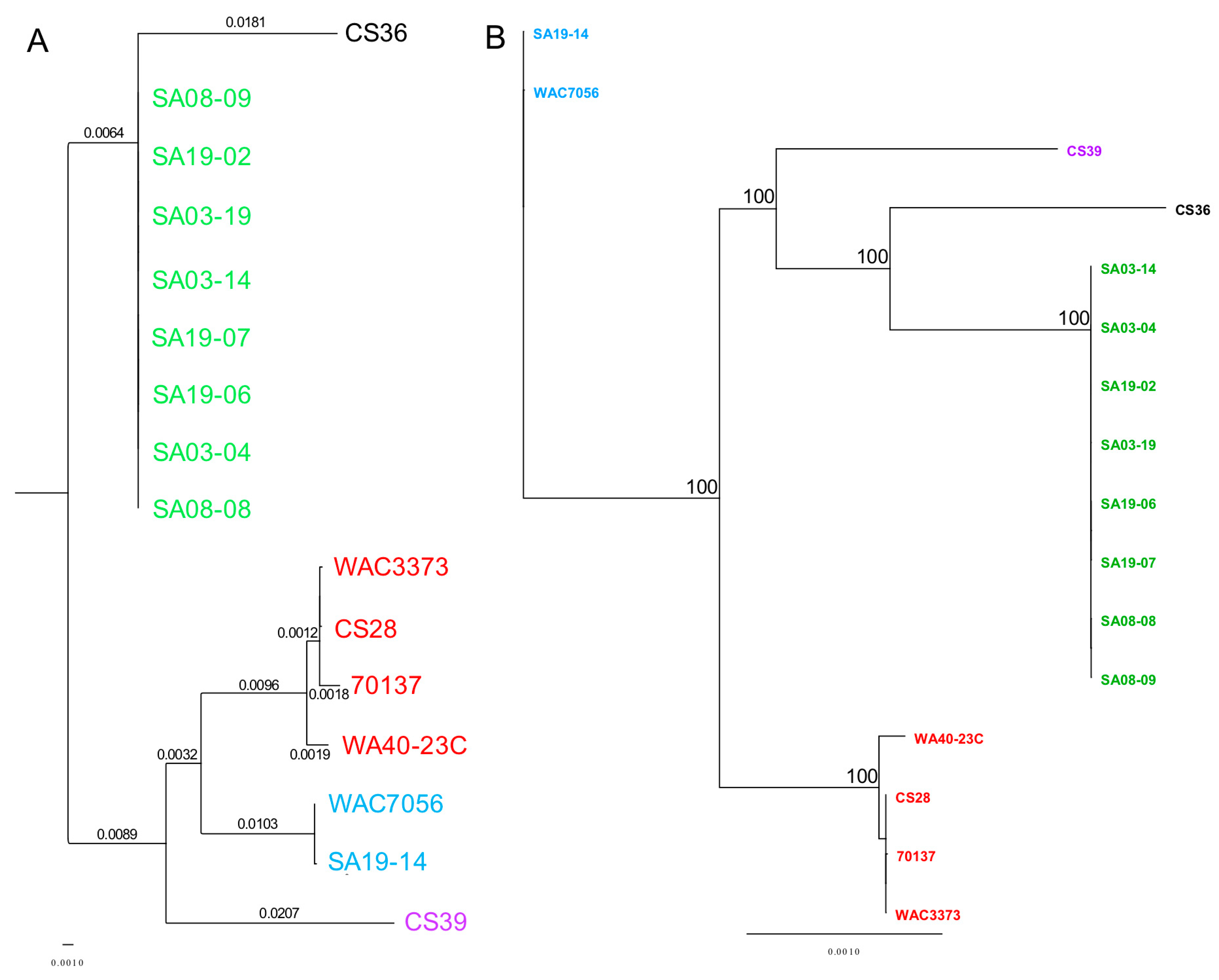 Microorganisms 08 00366 g005 Microorganisms 08 00366 g005