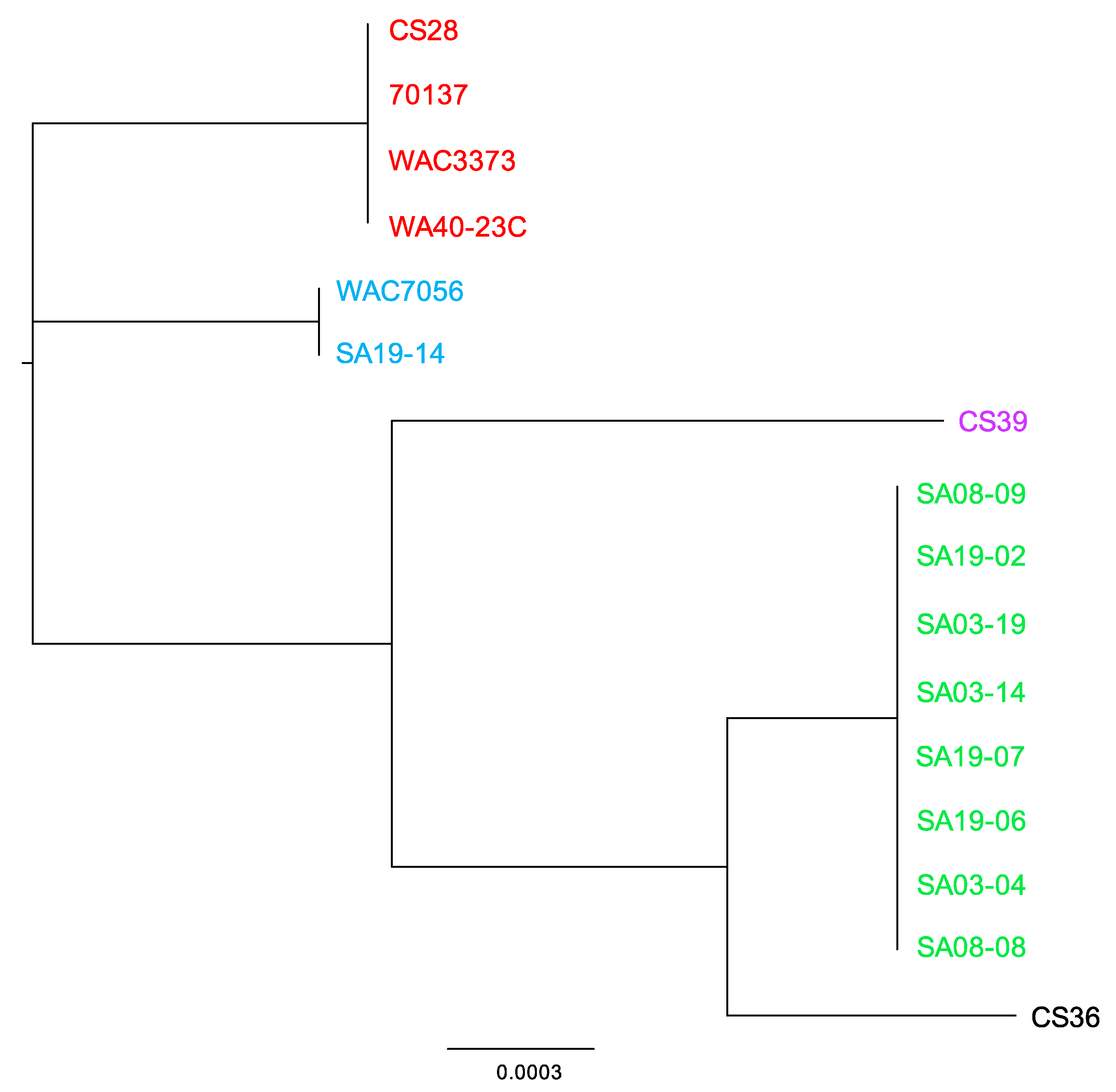 Microorganisms 08 00366 g006 Microorganisms 08 00366 g006