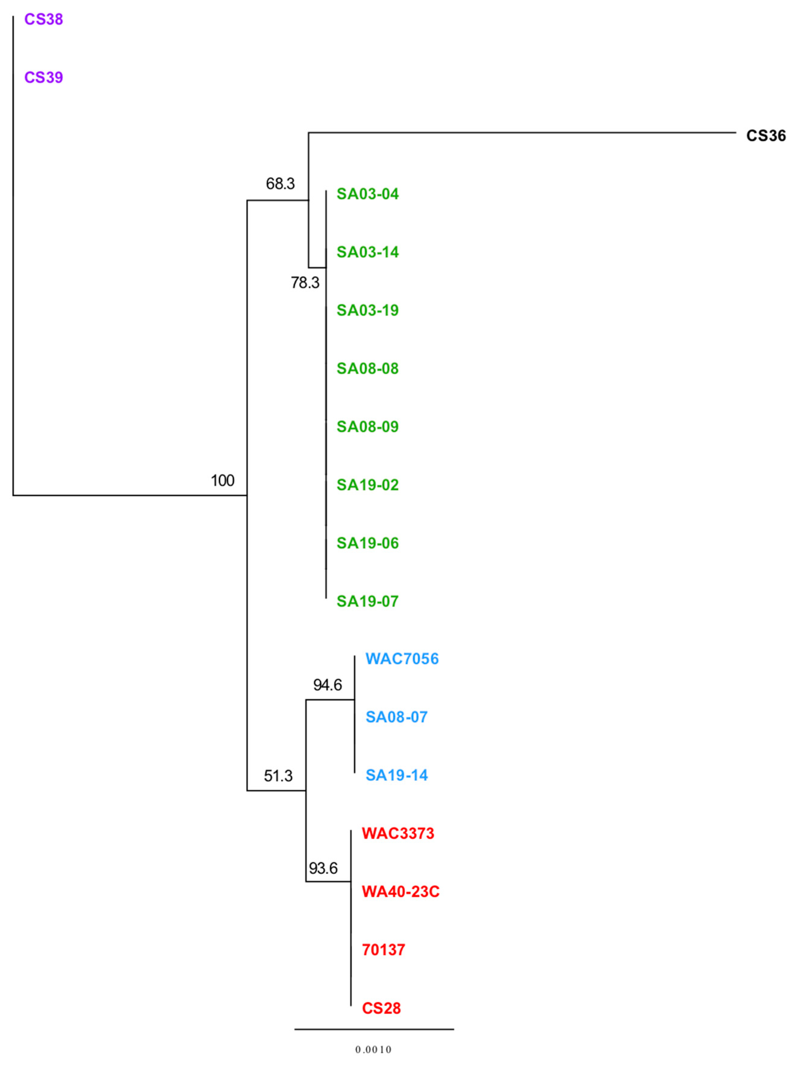 Microorganisms 08 00366 g008 Microorganisms 08 00366 g008