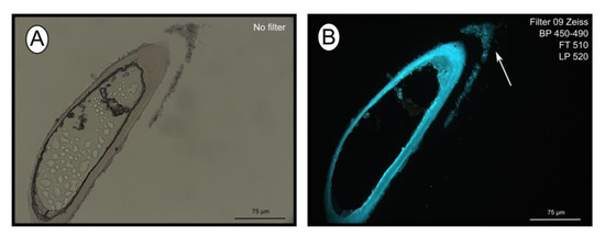 Microorganisms 08 00367 g003 550