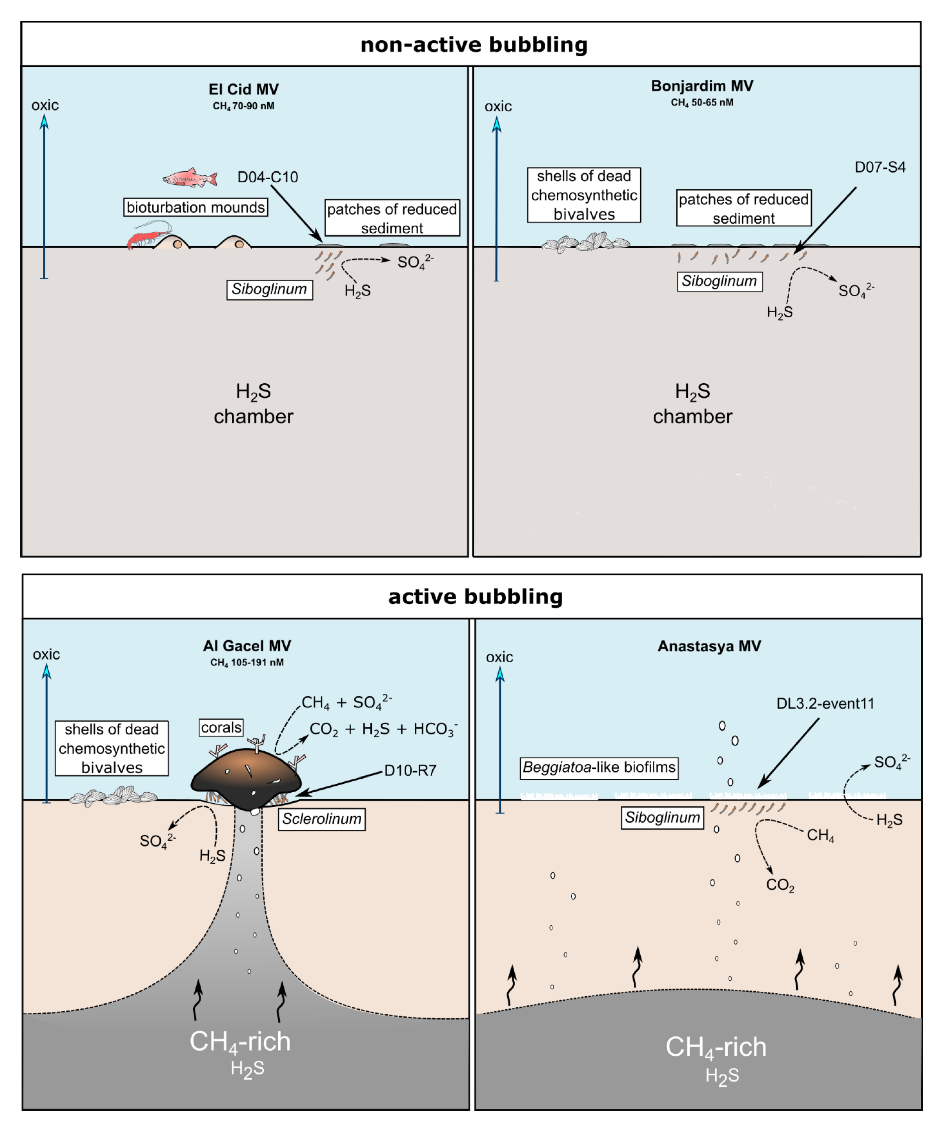 Microorganisms 08 00367 g008 Microorganisms 08 00367 g008