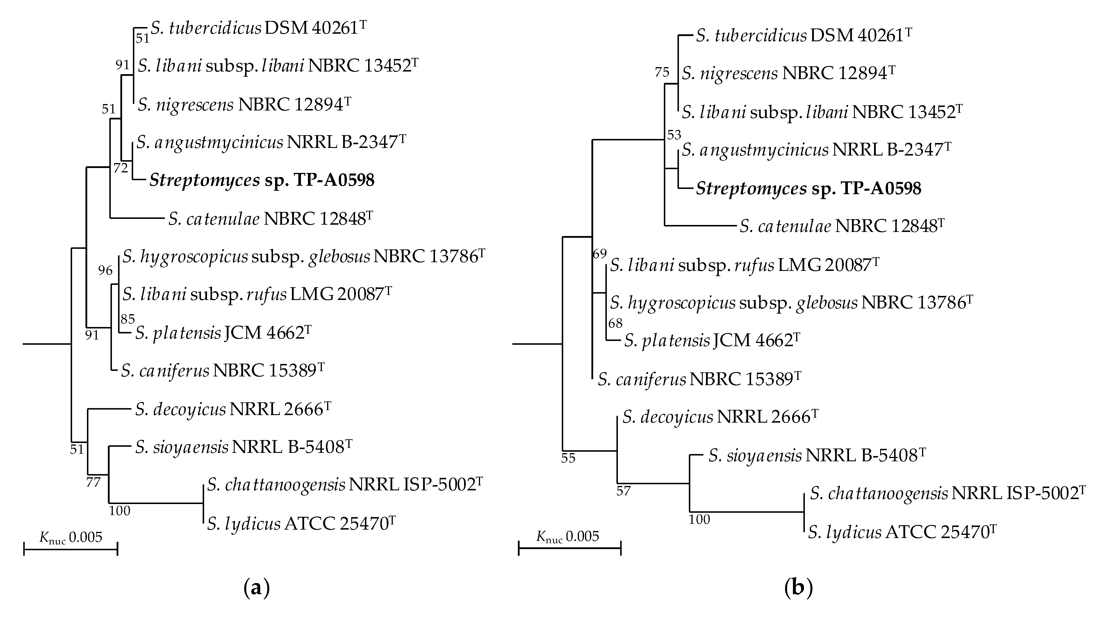 Microorganisms 08 00370 g001