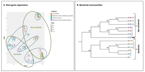 Microorganisms 08 00372 g002 550