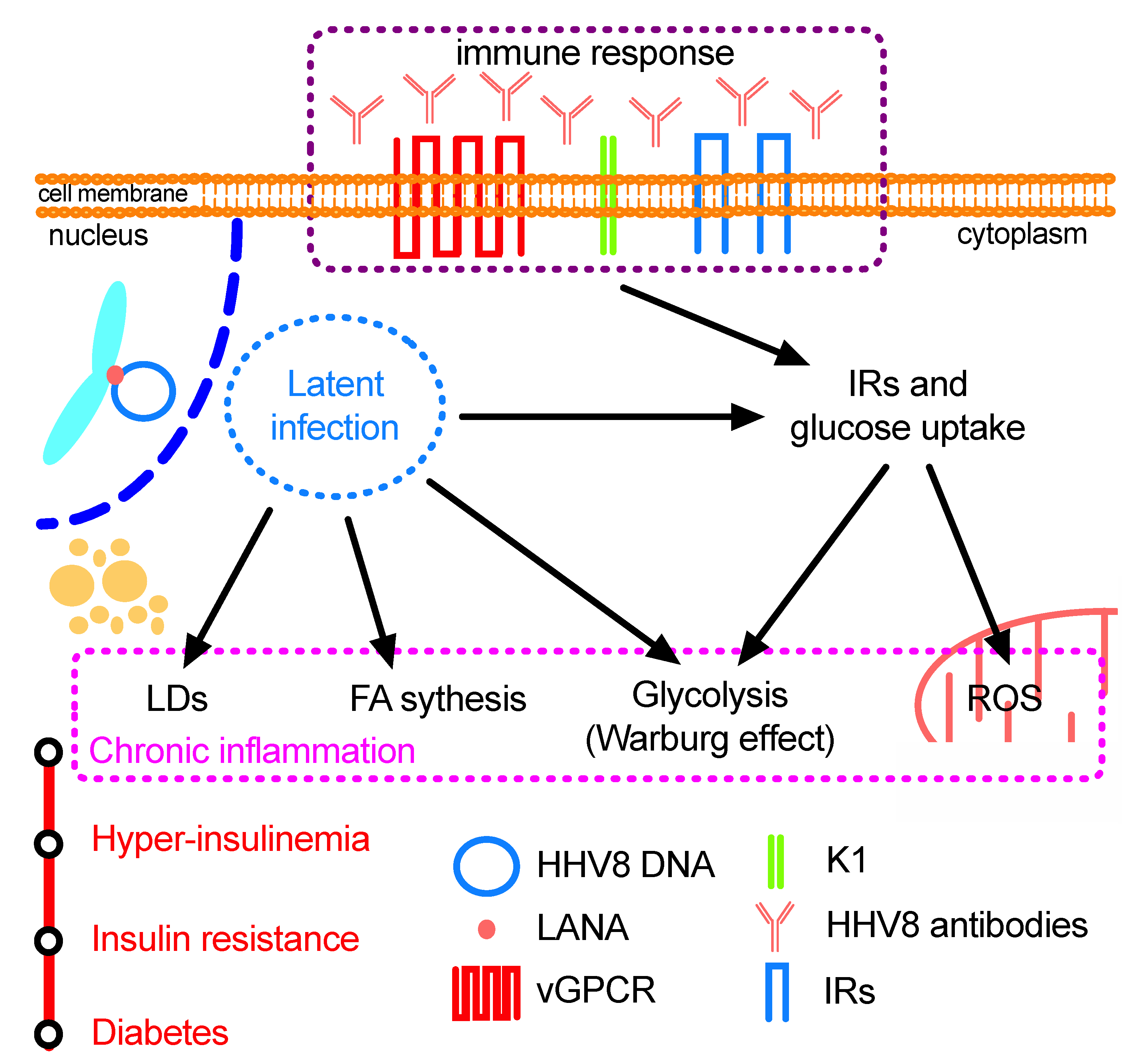 Microorganisms 08 00388 g001 Microorganisms 08 00388 g001