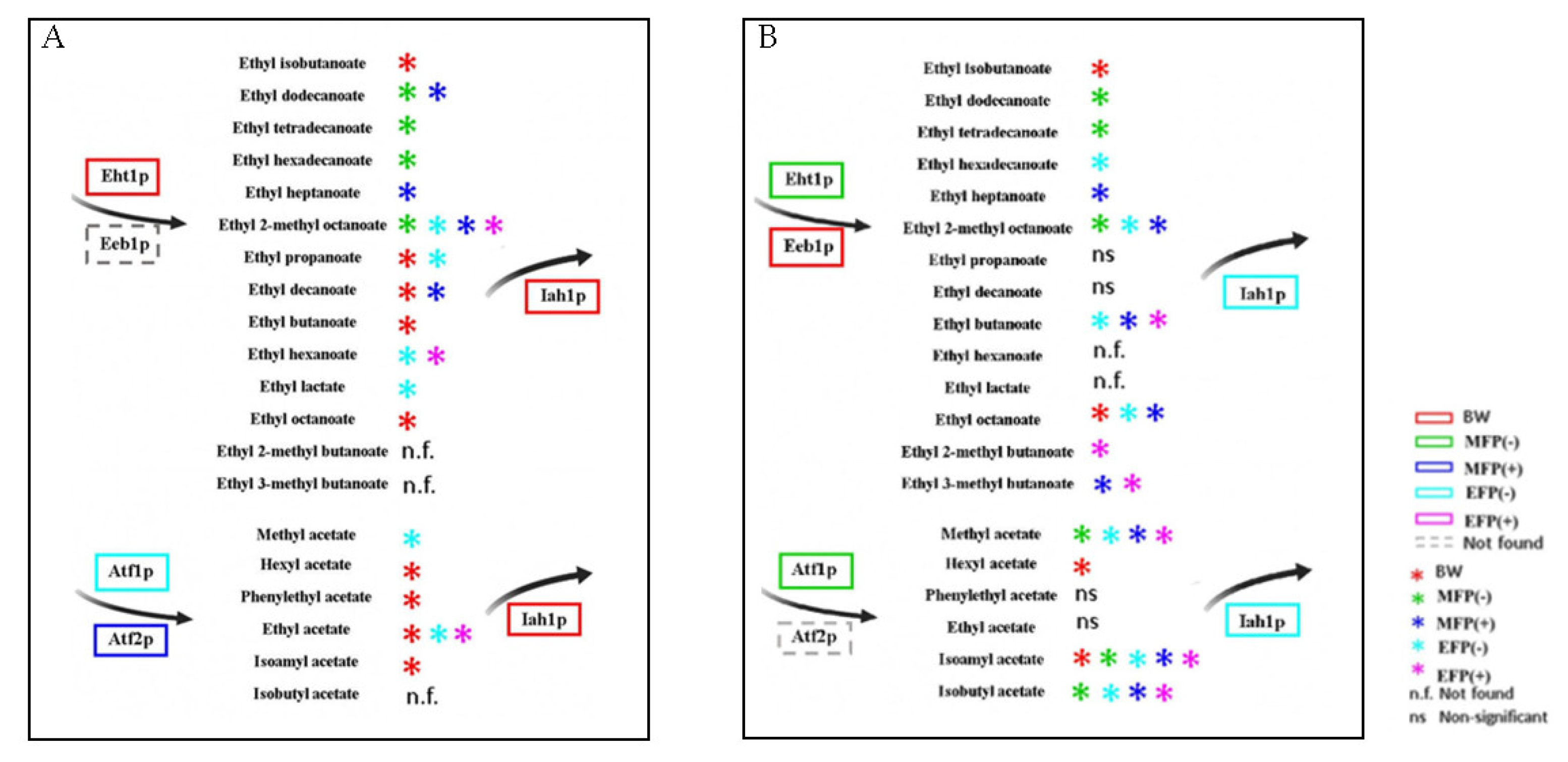 Microorganisms 08 00403 g004 Microorganisms 08 00403 g004