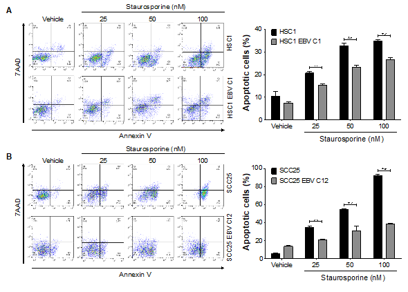 Microorganisms 08 00419 g005