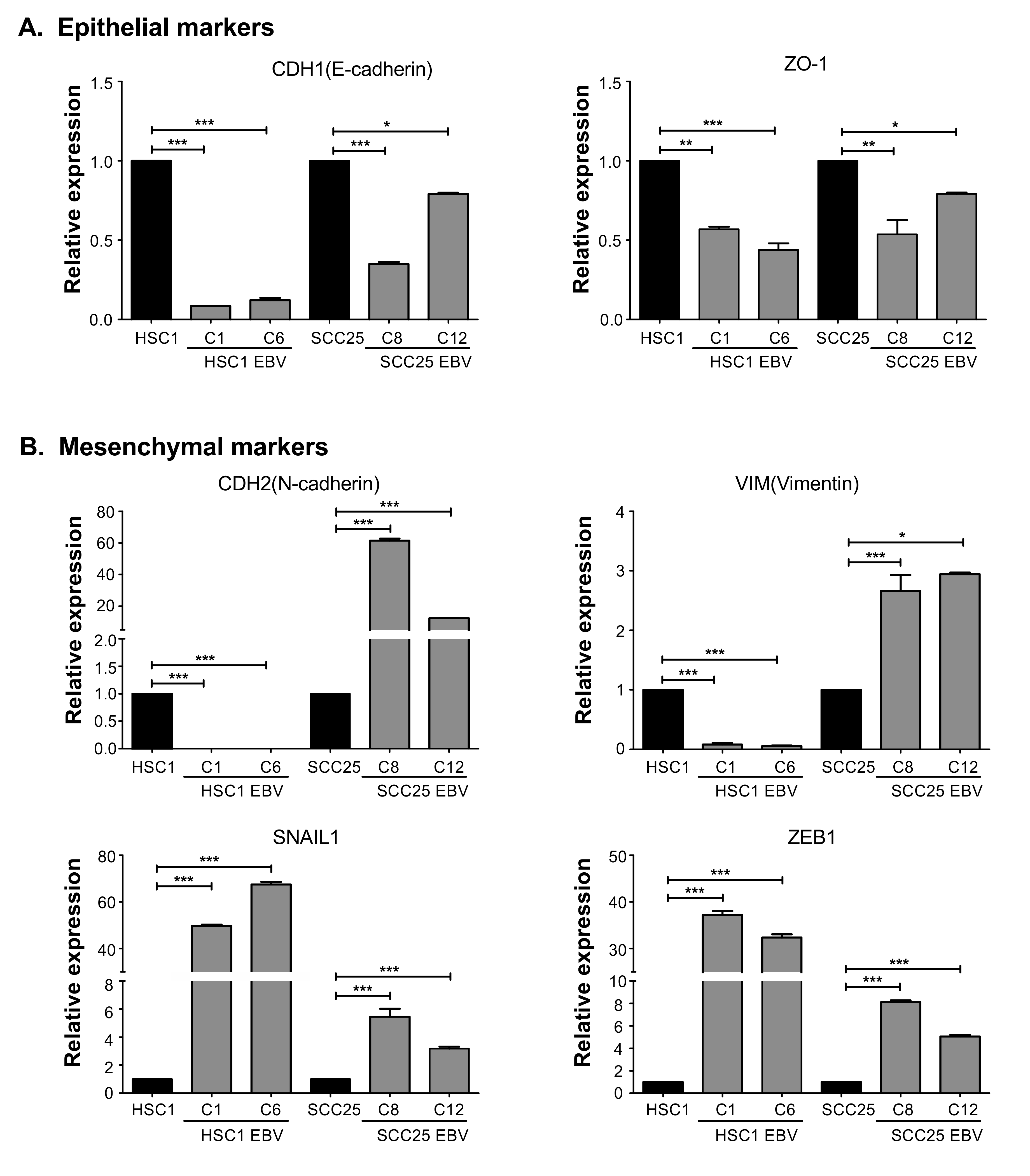 Microorganisms 08 00419 g006