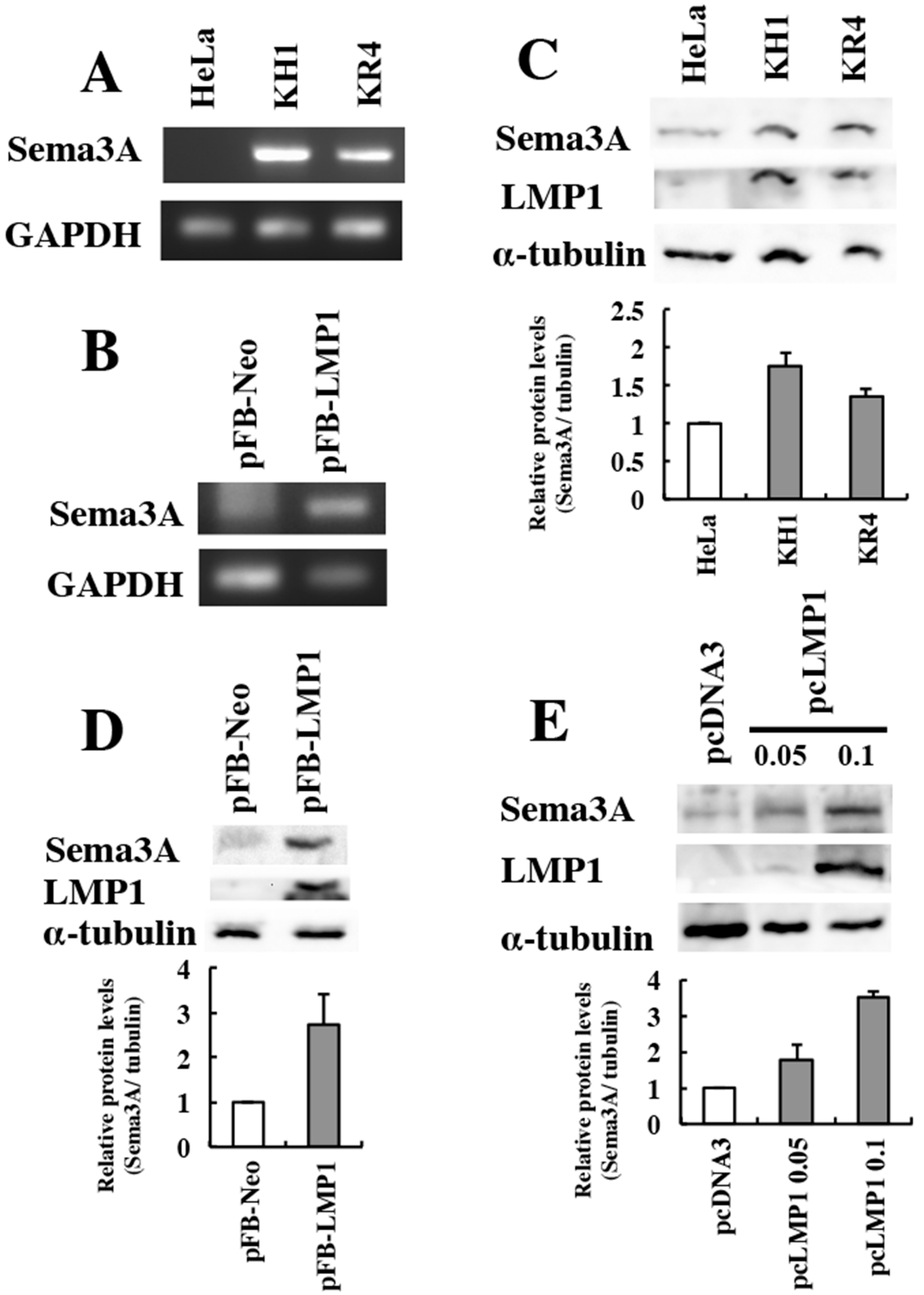 Microorganisms 08 00423 g001 Microorganisms 08 00423 g001